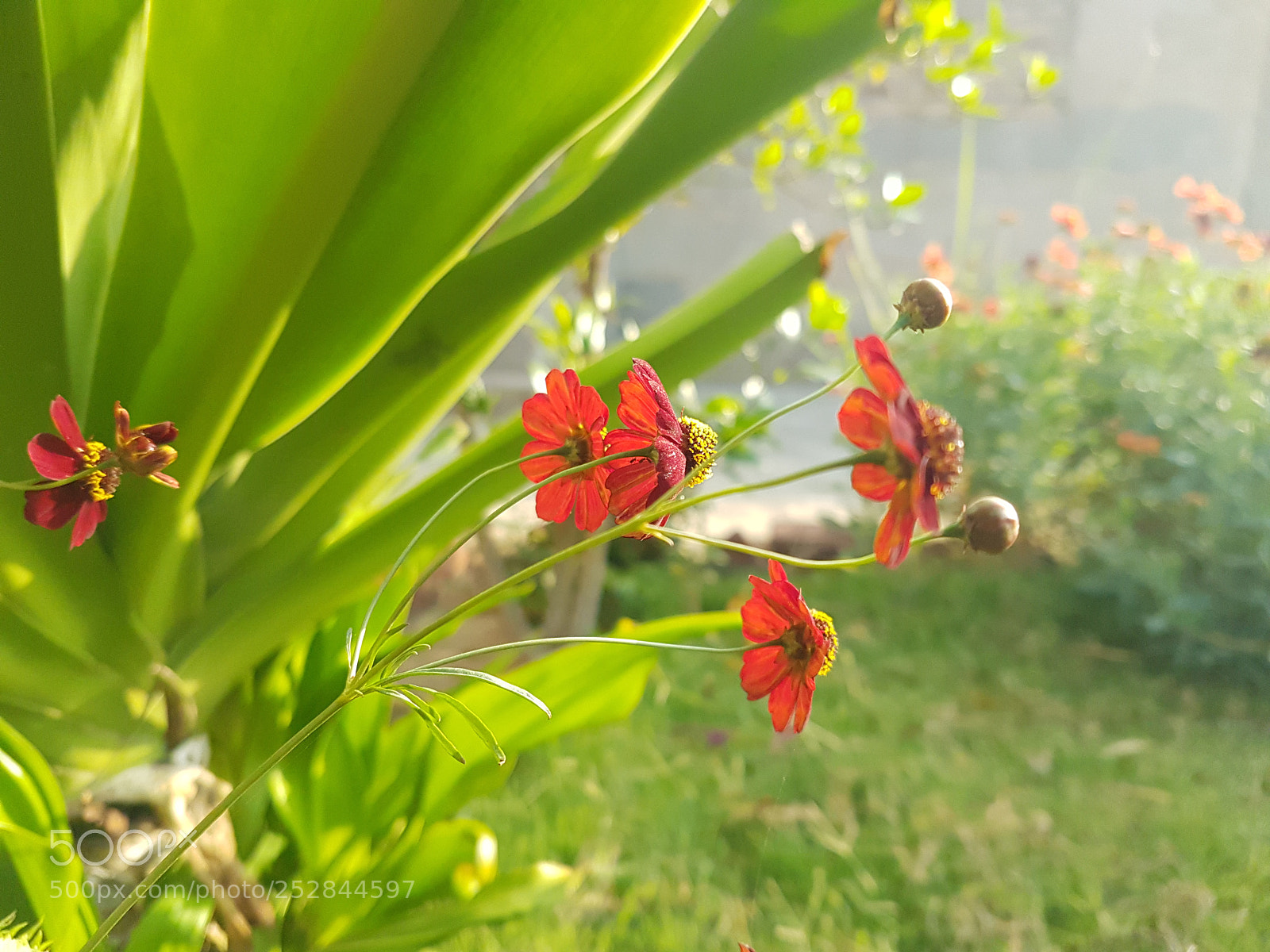 Samsung Galaxy S7 sample photo. Untitled photography