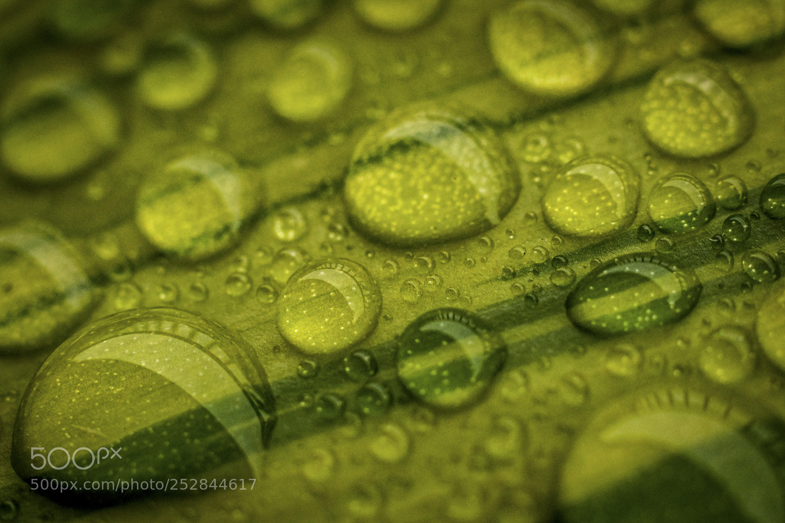 Nikon D90 sample photo. A bubble experiment photography