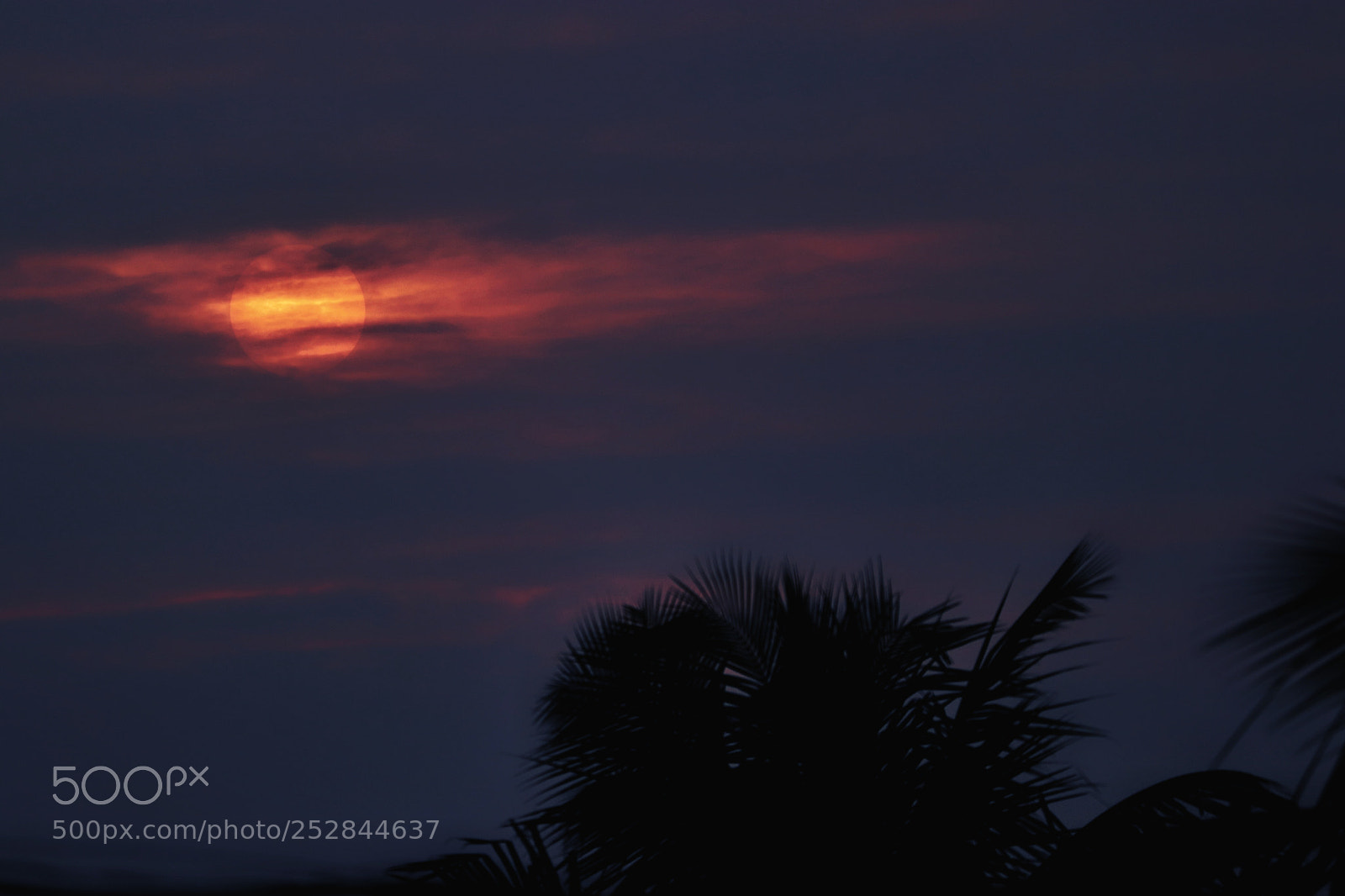Canon EOS 77D (EOS 9000D / EOS 770D) sample photo. Golden hour photography