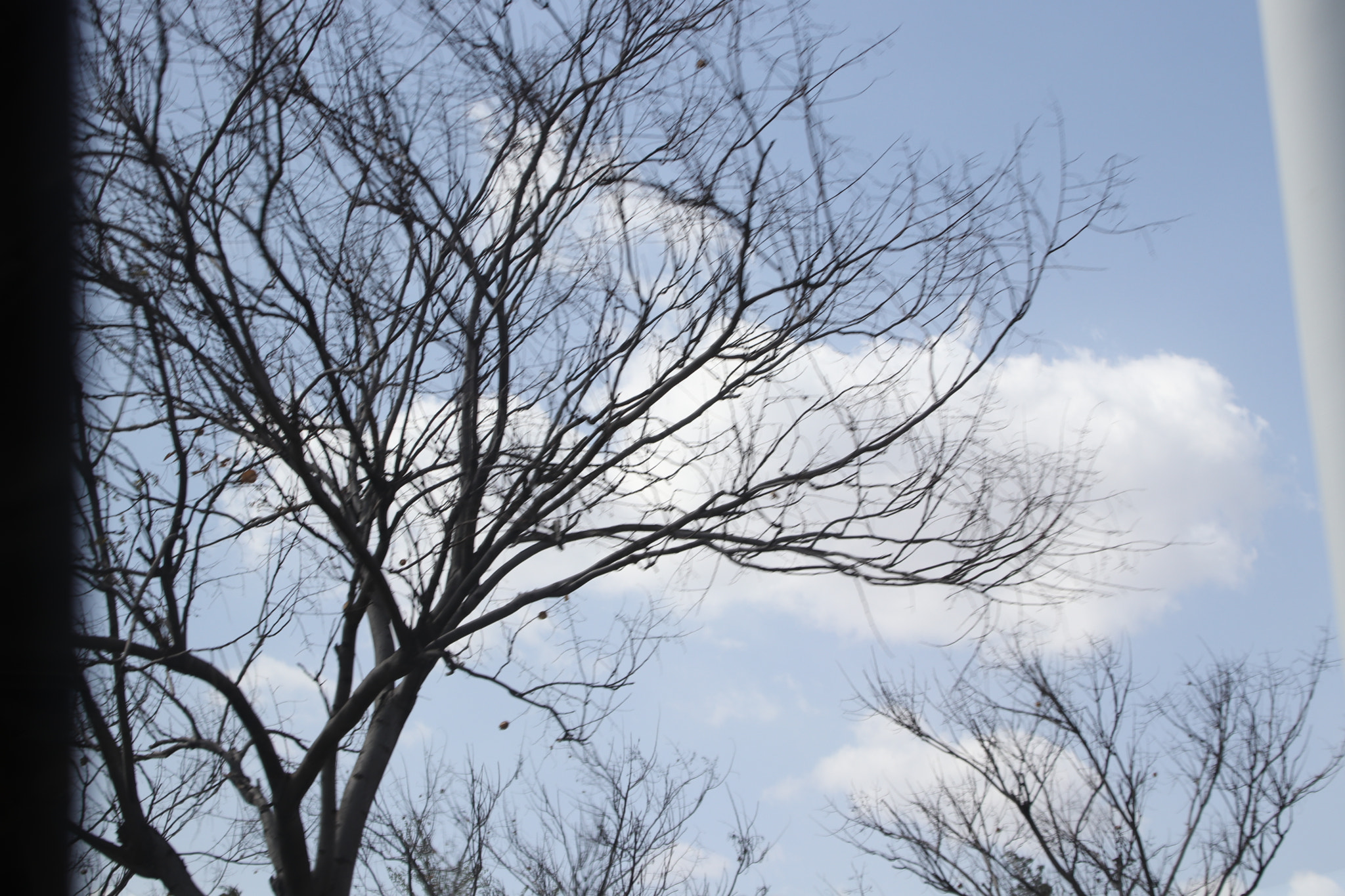 Canon TS-E 90mm F2.8 Tilt-Shift sample photo. Img photography