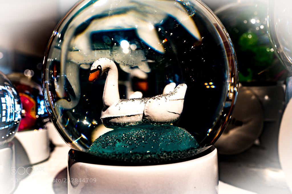 Leica Q (Typ 116) sample photo. Odette under glass photography