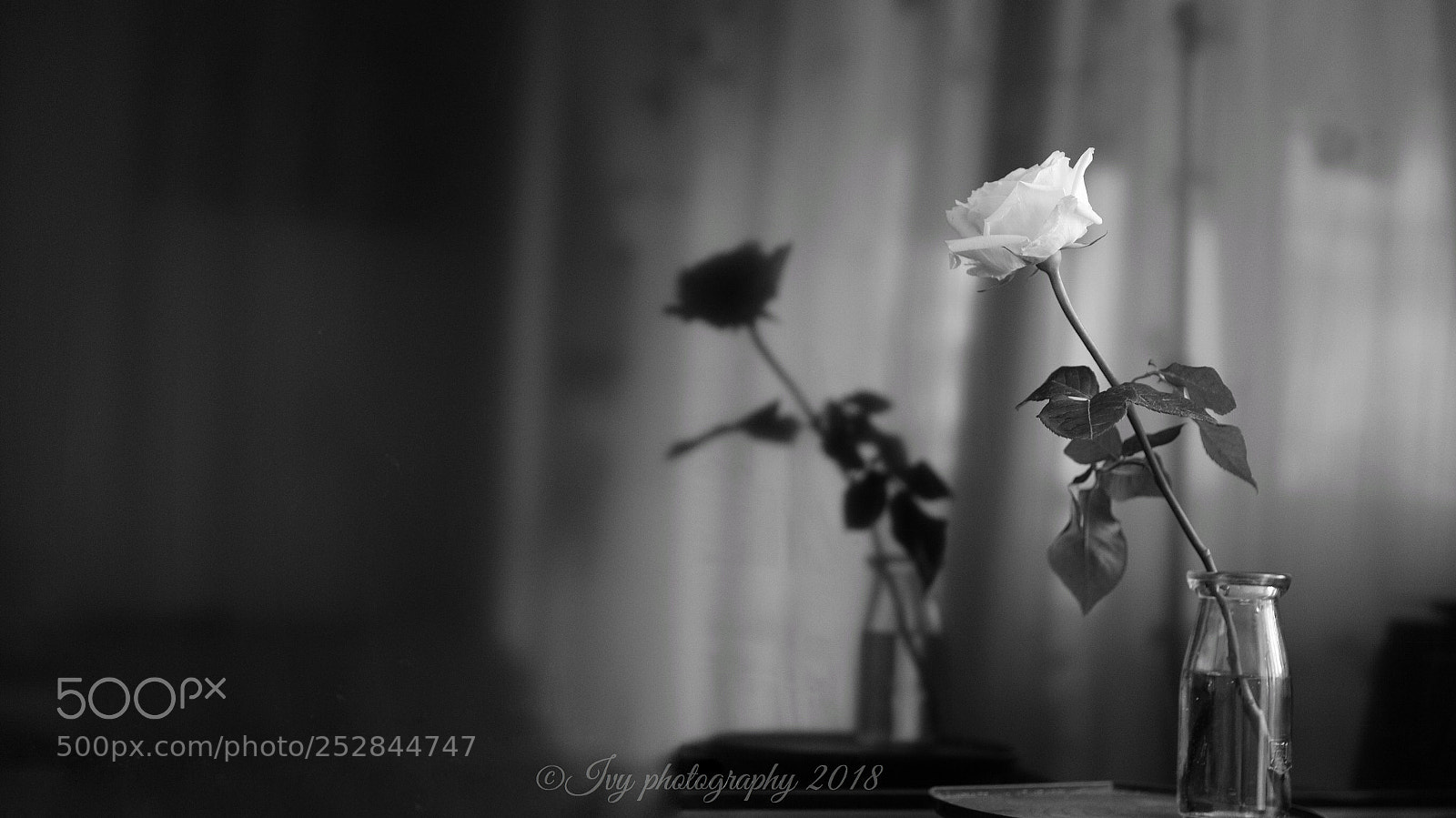 Canon EOS 5D Mark IV sample photo. Untitled photography