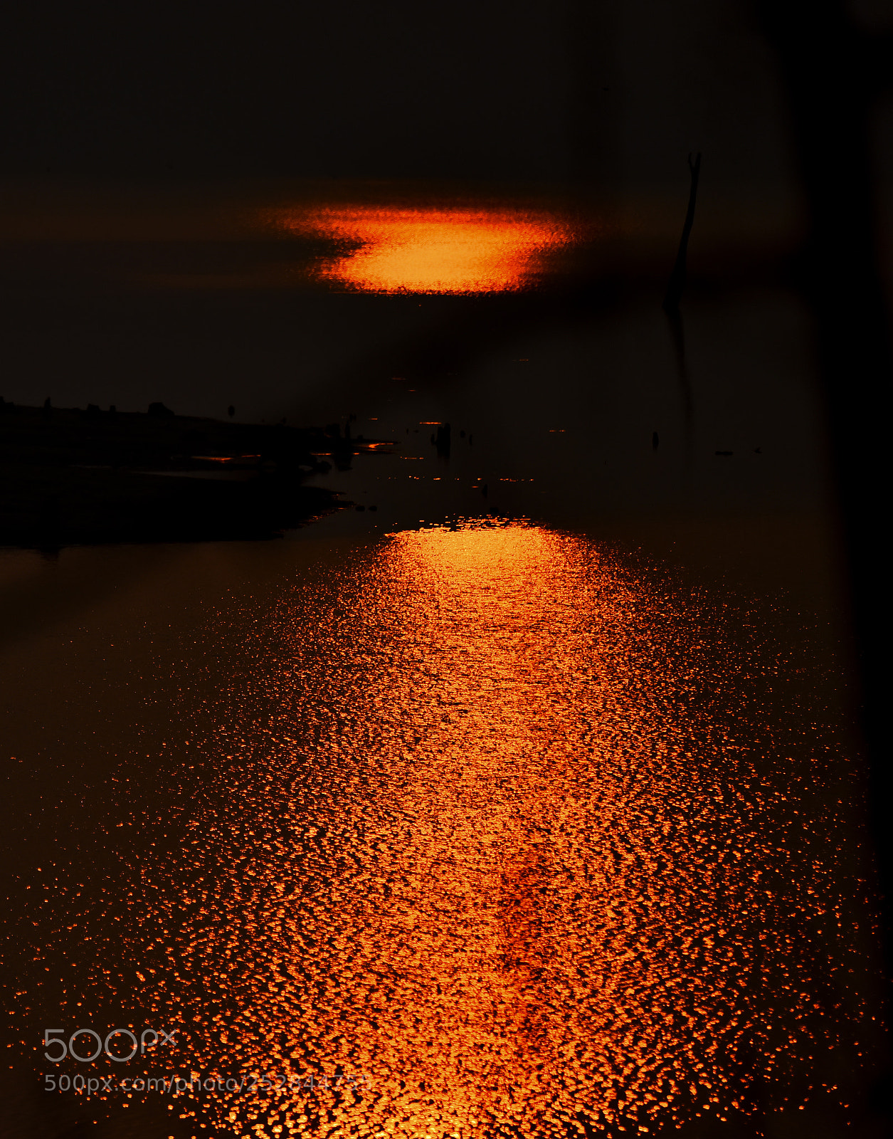 Nikon D810 sample photo. Sunrise at a jungle photography