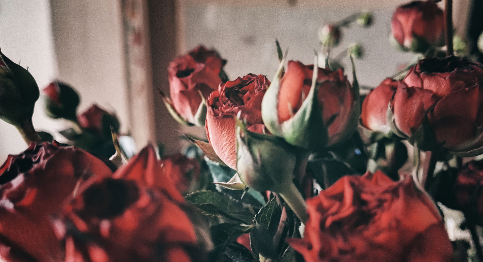 HUAWEI Honor 7 sample photo. Sdr photography