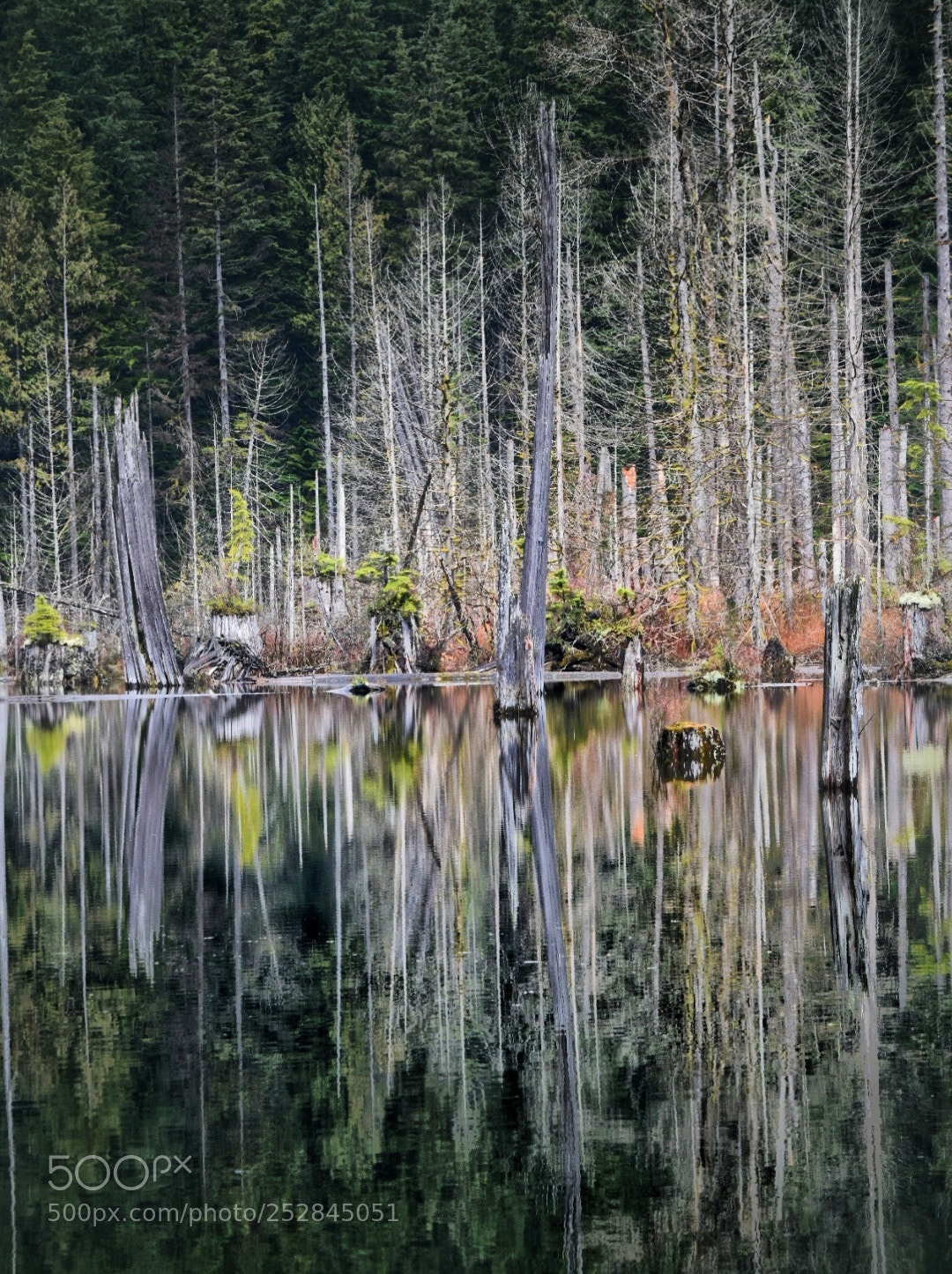 Nikon D5300 sample photo. Calm lake reflections photography