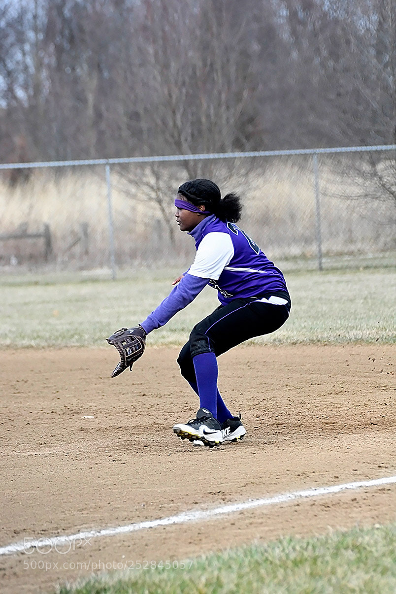 Nikon D500 sample photo. 4-4_0667.jpg photography