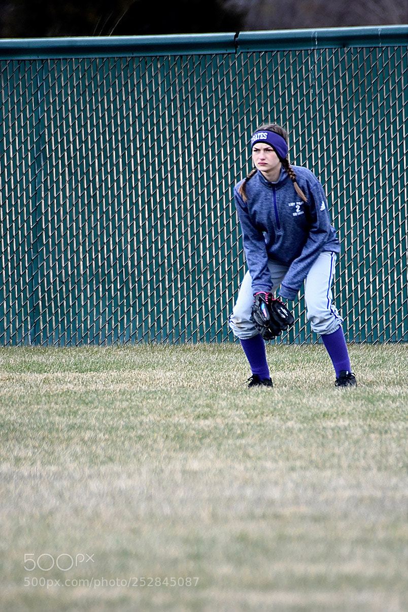 Nikon D500 sample photo. 4-4_0025.jpg photography