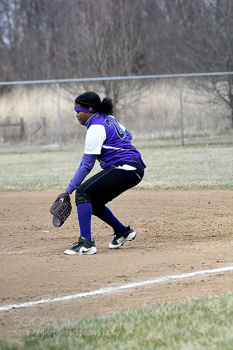 Nikon D500 sample photo. 4-4_0669.jpg photography