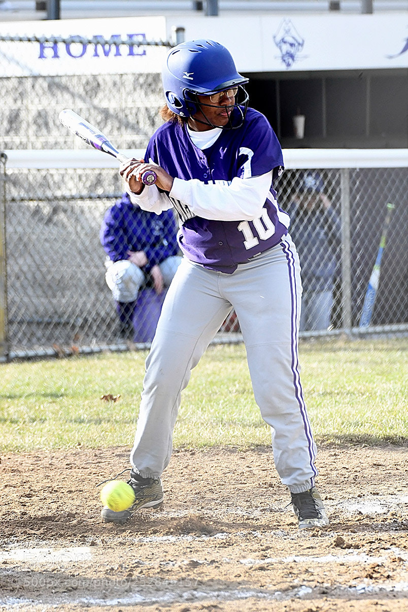 Nikon D500 sample photo. 4-4_0466.jpg photography
