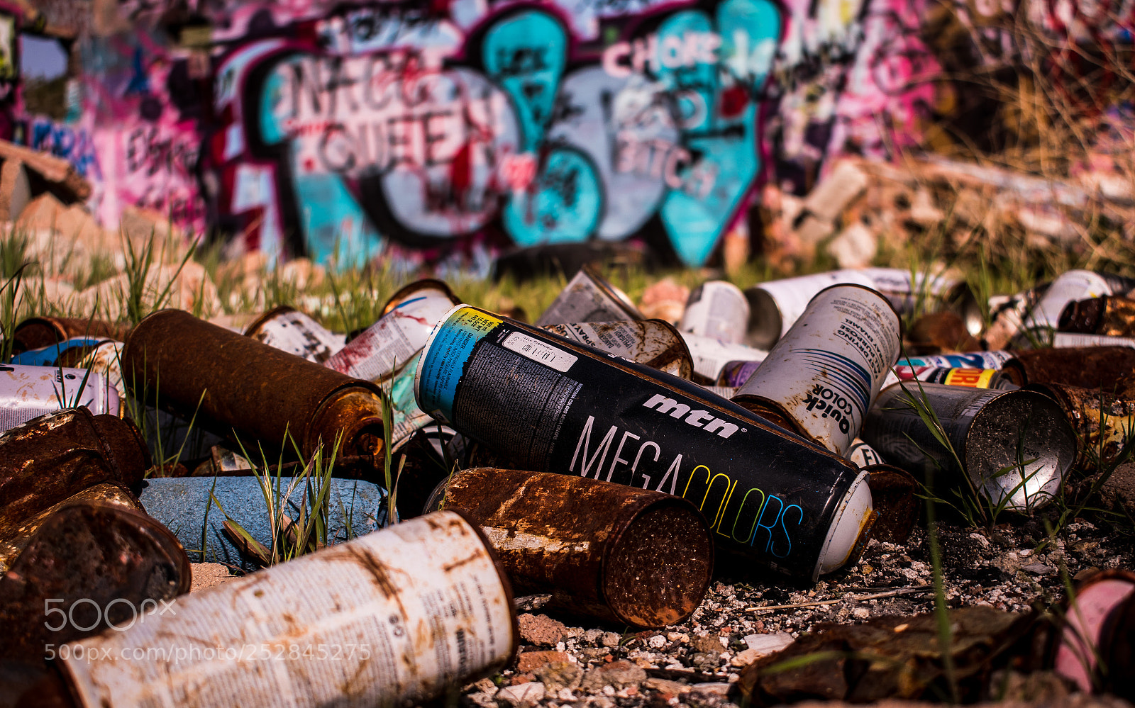 Nikon D5500 sample photo. Untitled photography