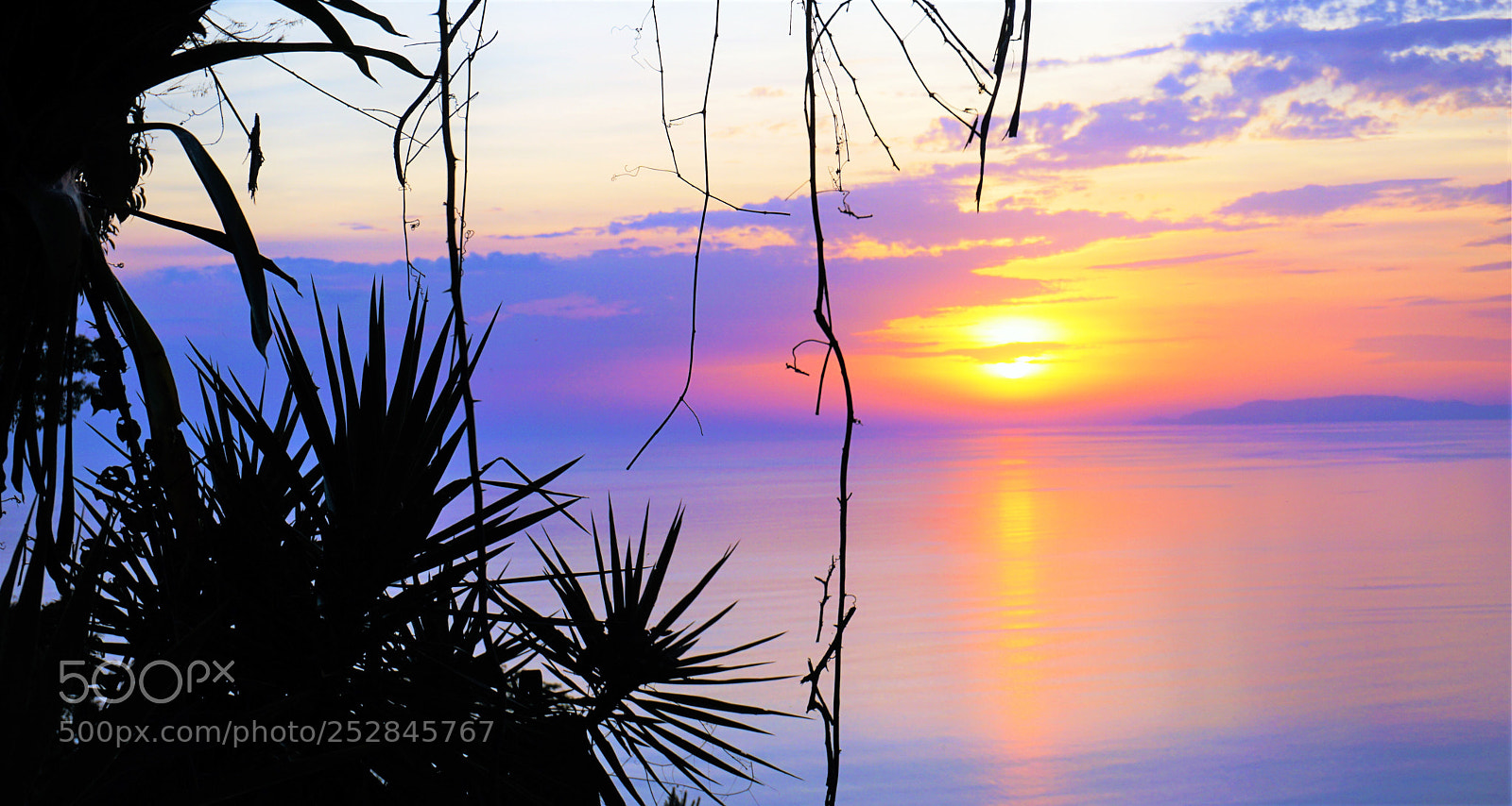 Sony a6000 sample photo. Beautiful sunset  photography