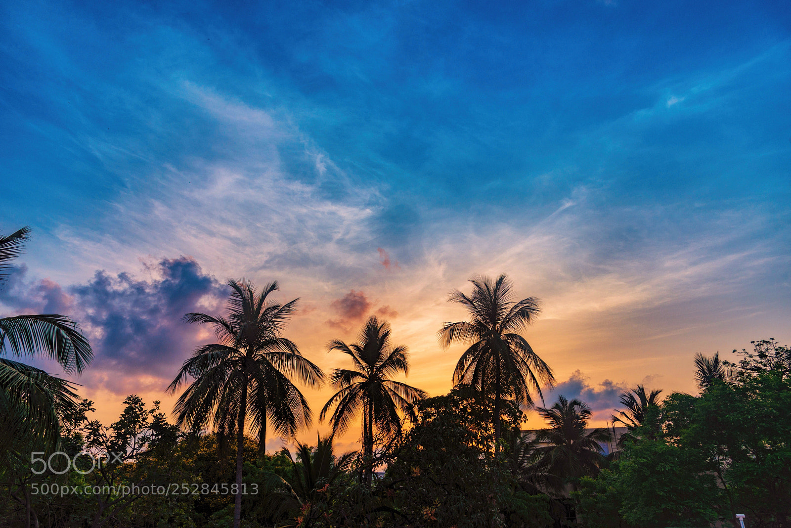 Nikon D610 sample photo. A new day! photography