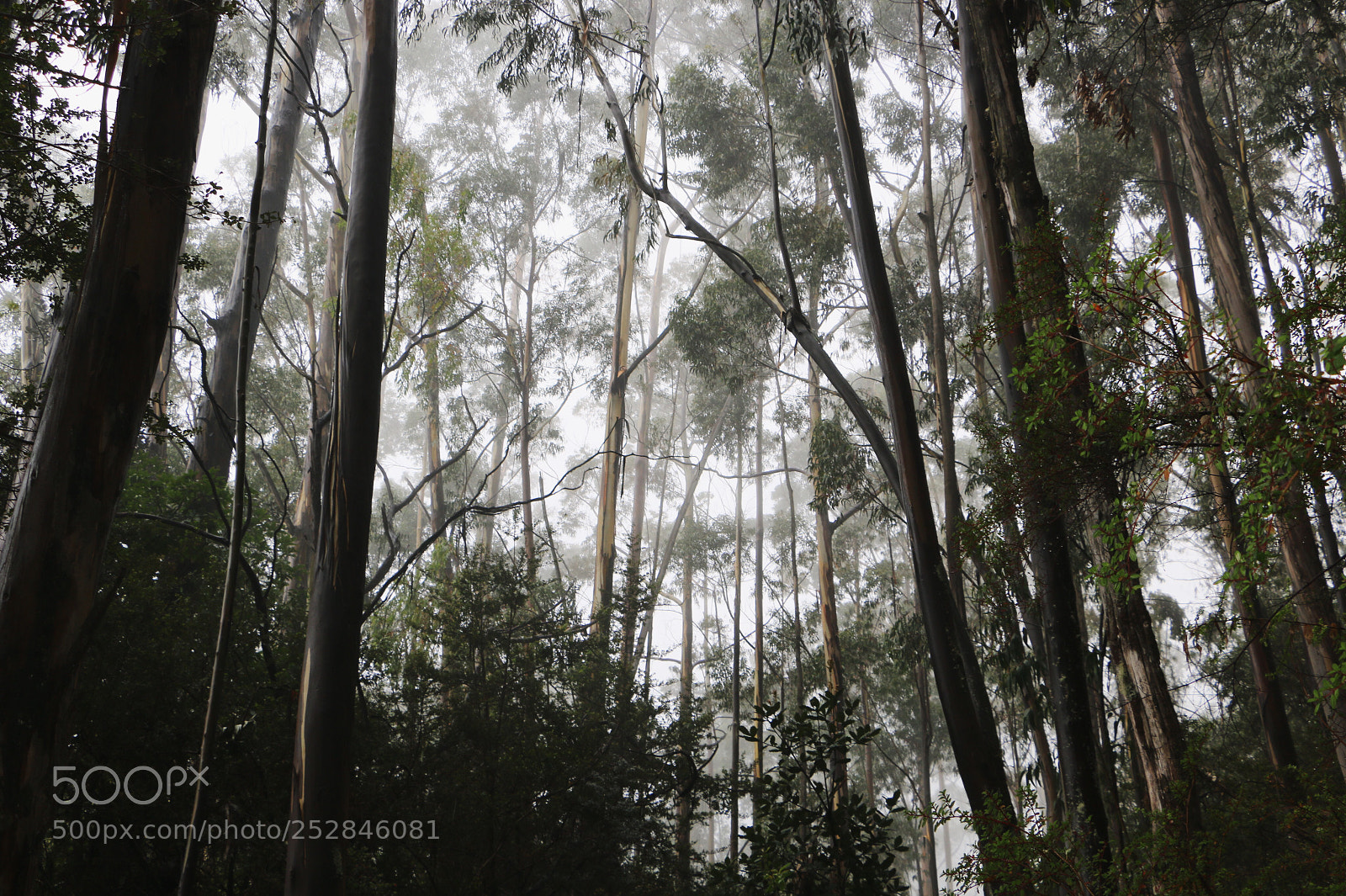 Canon EOS 70D sample photo. Untitled photography