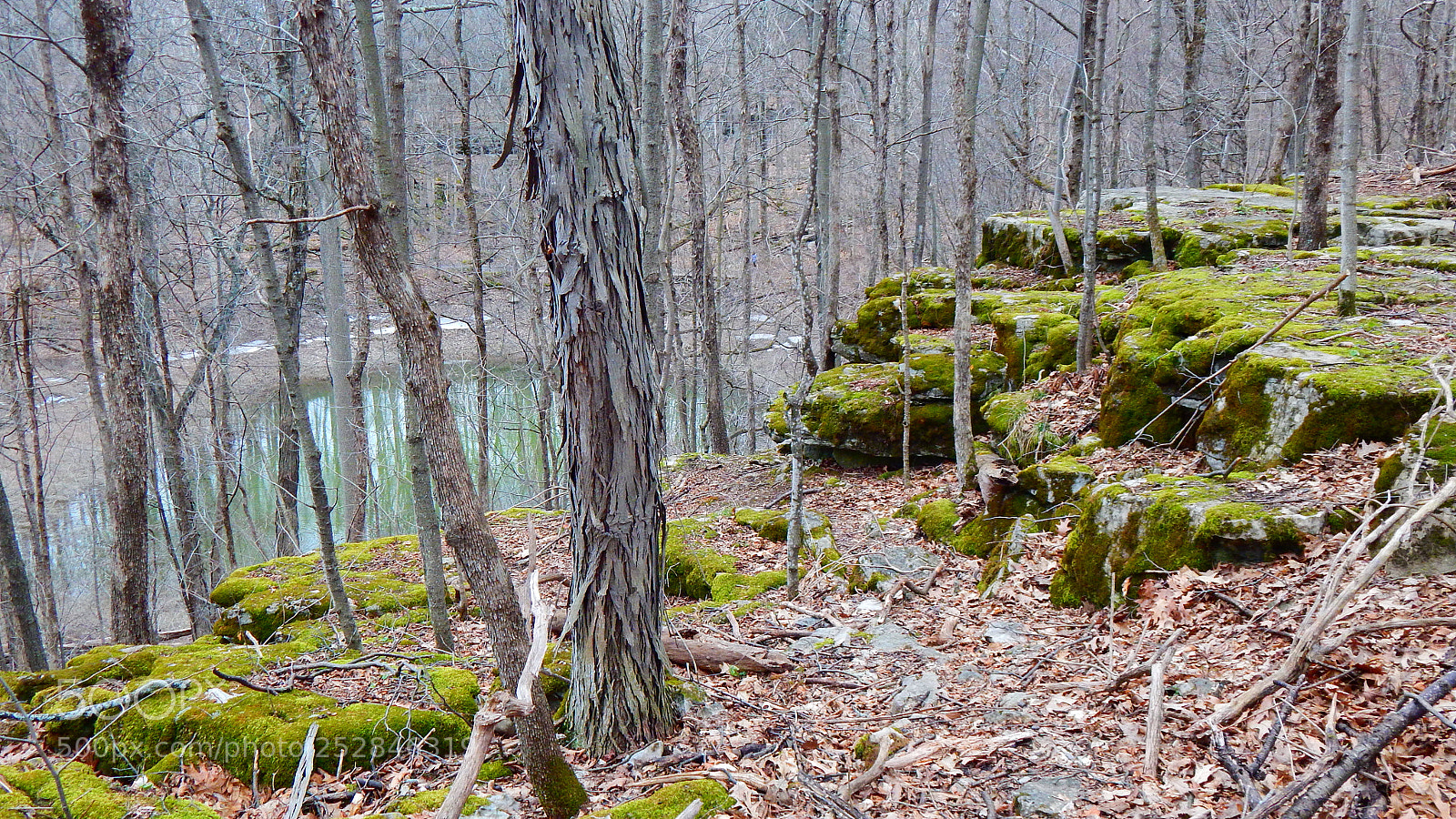 Nikon Coolpix L830 sample photo. Hiking trail at clark photography