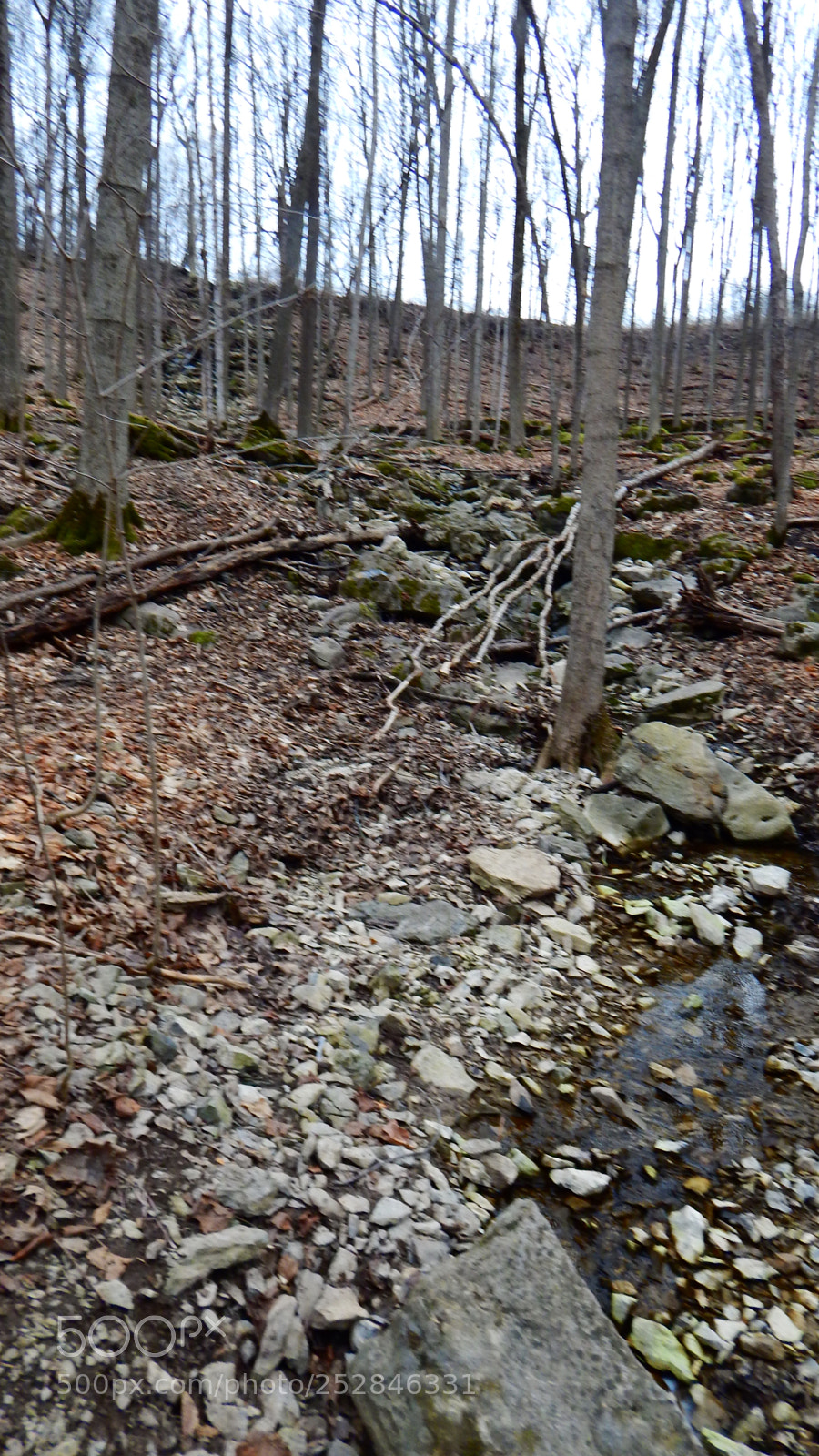 Nikon Coolpix L830 sample photo. Hiking trail at clark photography