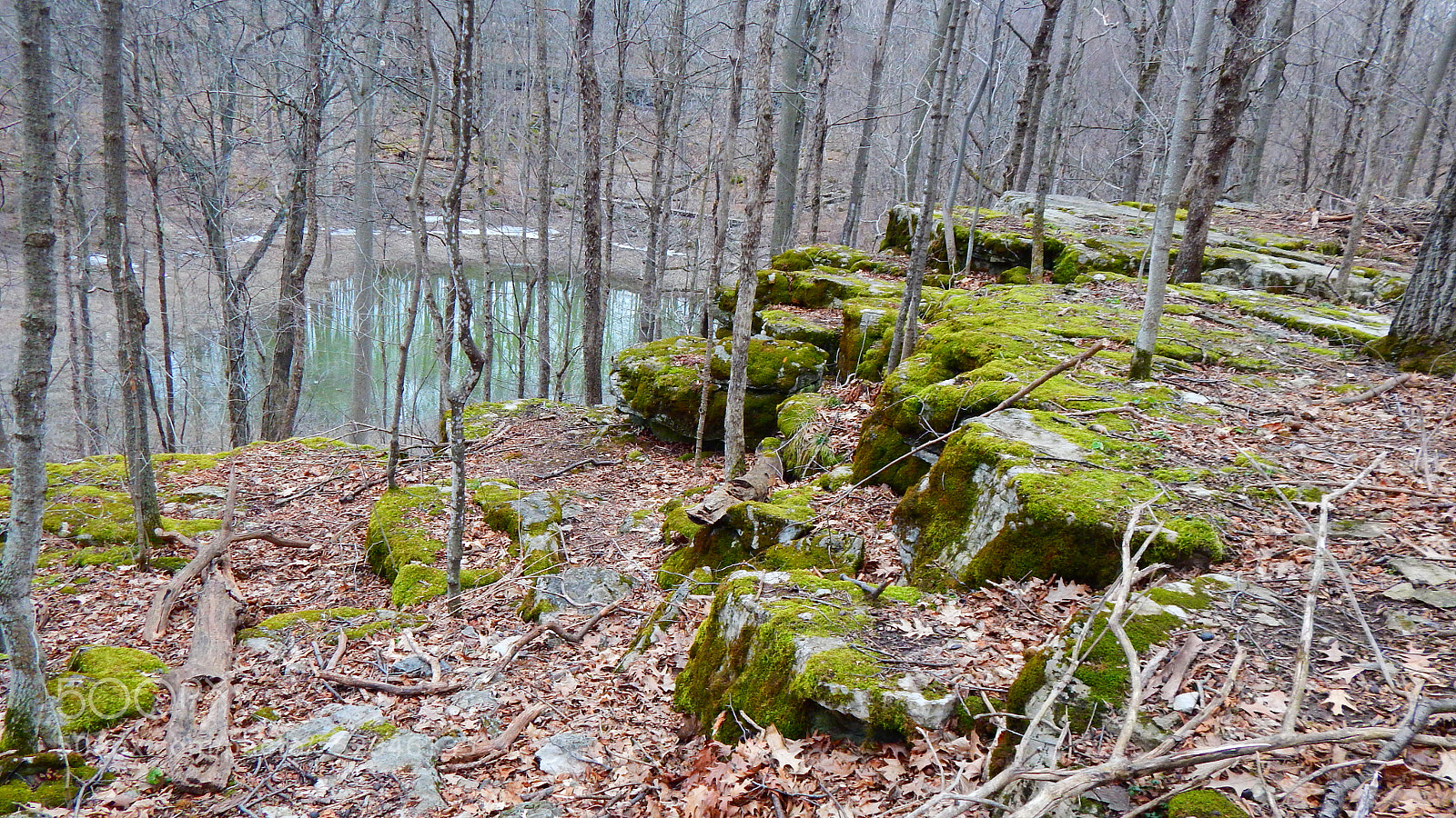 Nikon Coolpix L830 sample photo. Hiking trail at clark photography