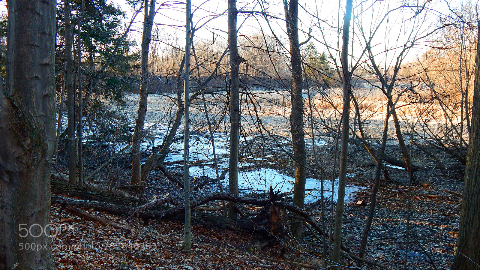 Nikon Coolpix L830 sample photo. Hiking trail near wilson photography