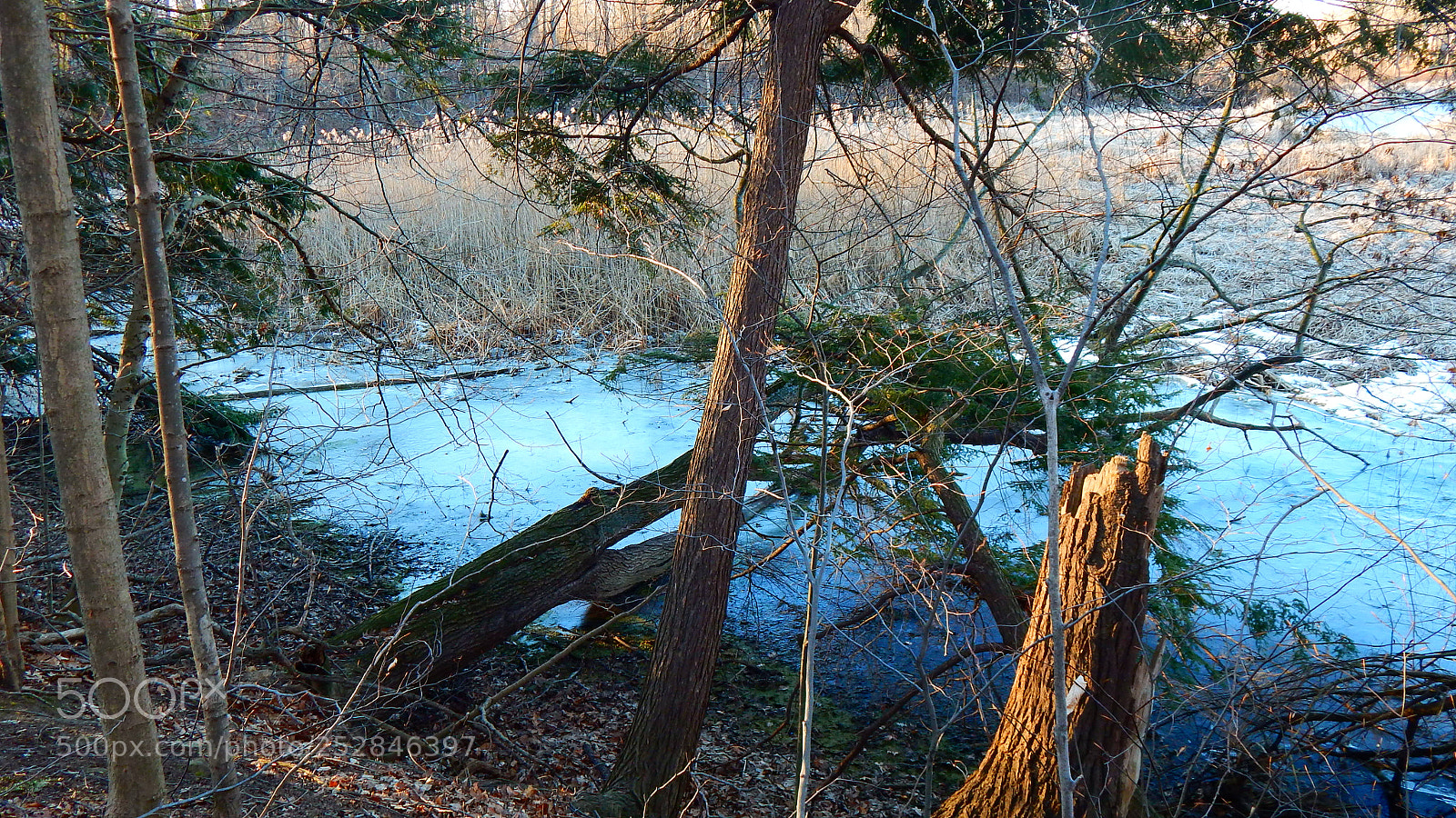 Nikon Coolpix L830 sample photo. Hiking trail near wilson photography