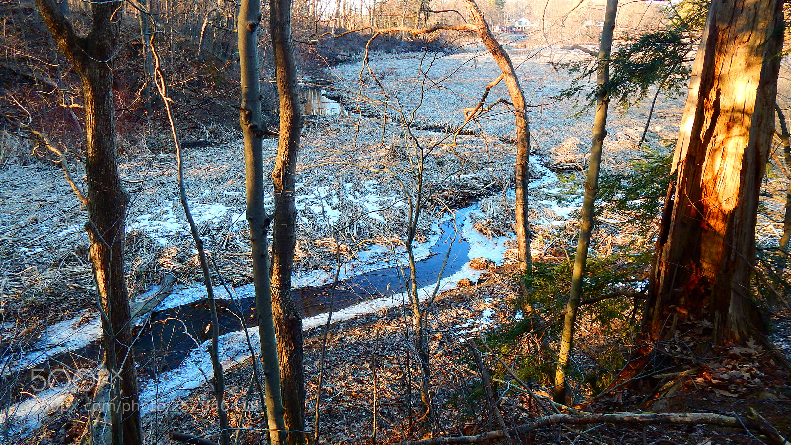 Nikon Coolpix L830 sample photo. Hiking trail near wilson photography