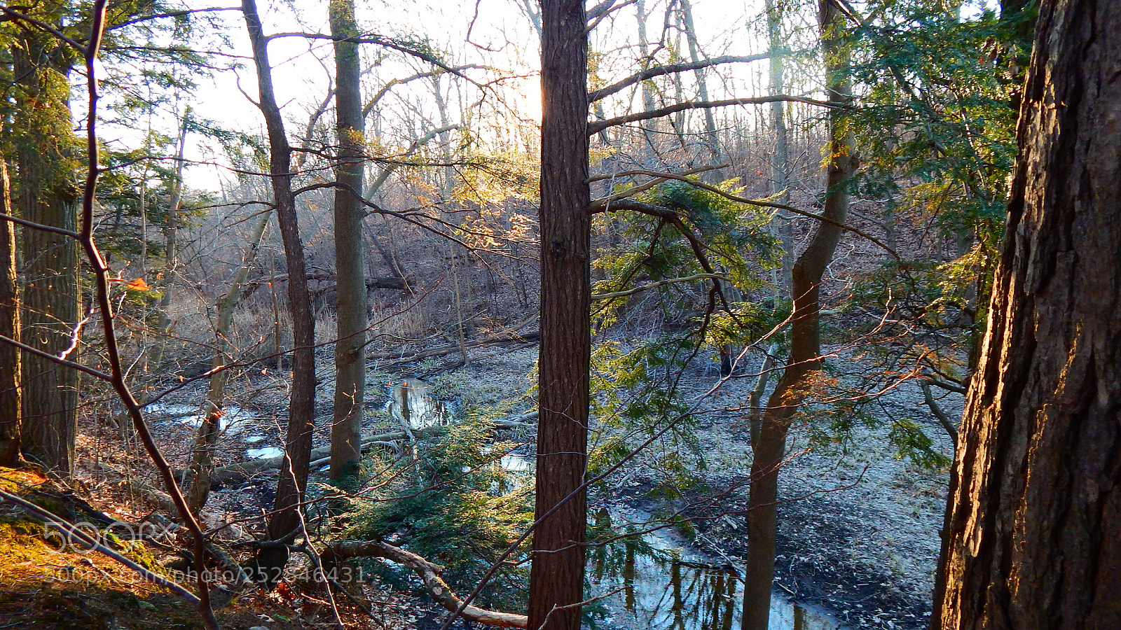 Nikon Coolpix L830 sample photo. Hiking trail near wilson photography