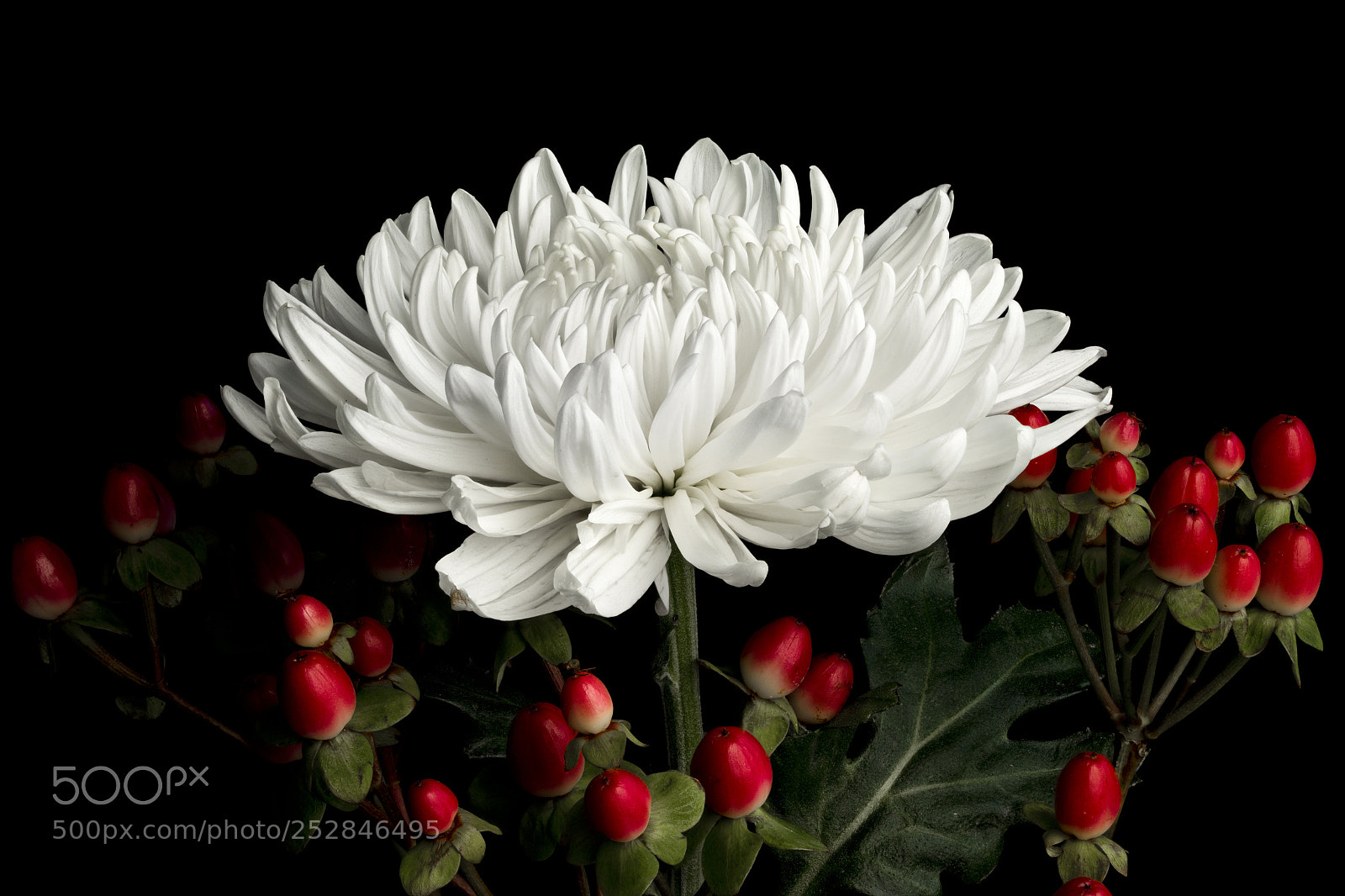 Canon EOS-1D X Mark II sample photo. Beautiful bouquet photography
