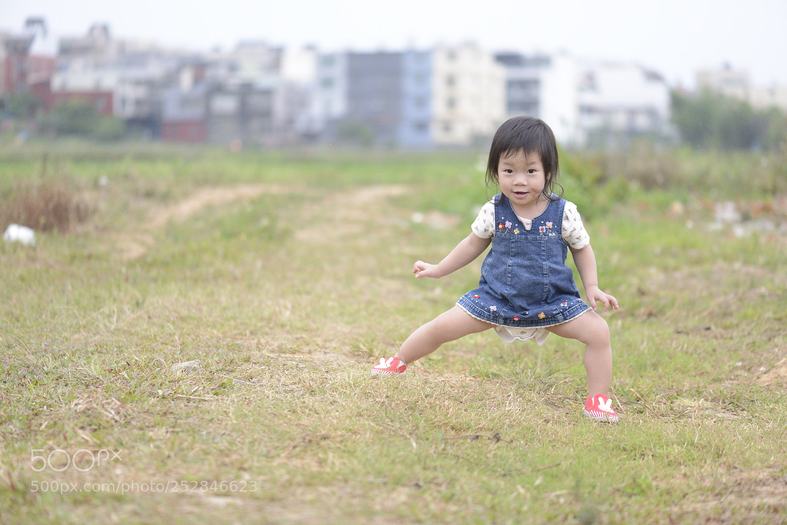 Nikon D800 sample photo. Untitled photography