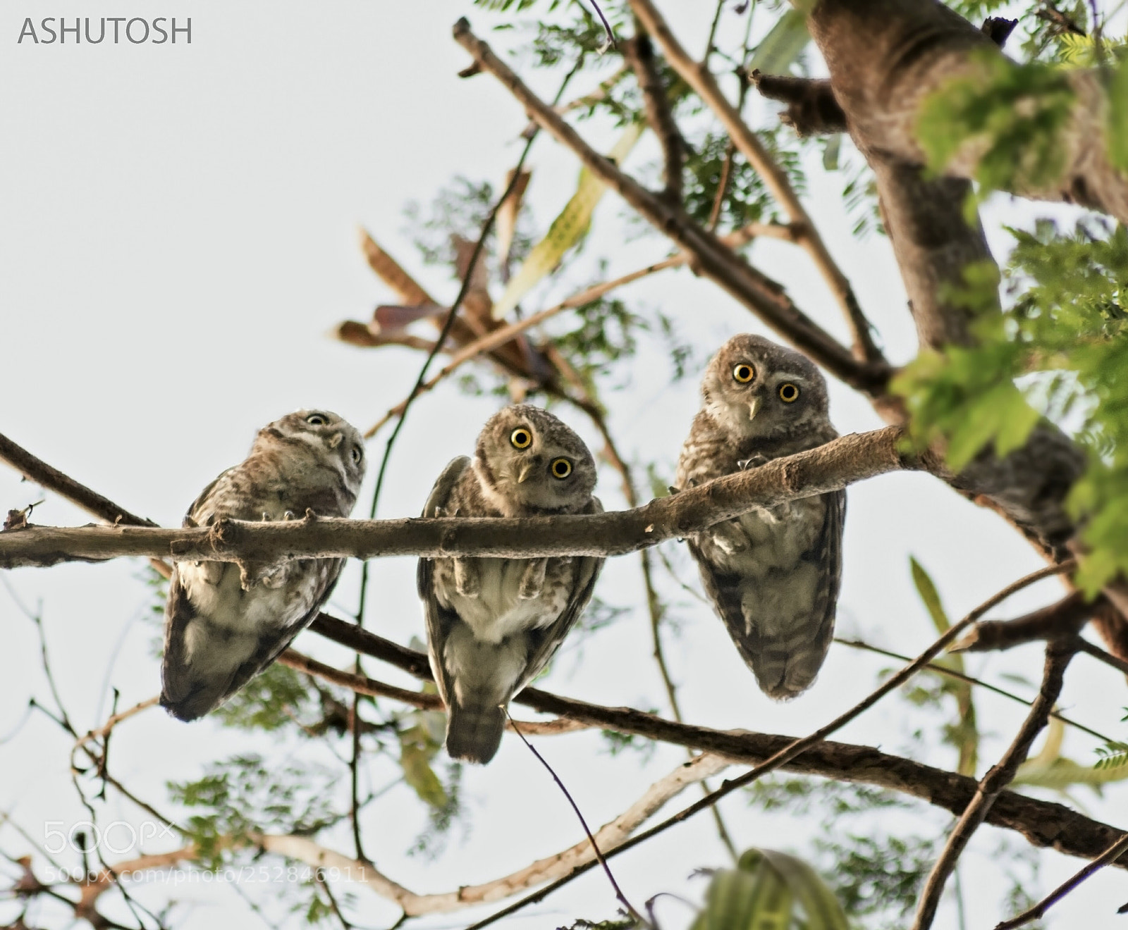 Nikon D5200 sample photo. You'll miss the best photography
