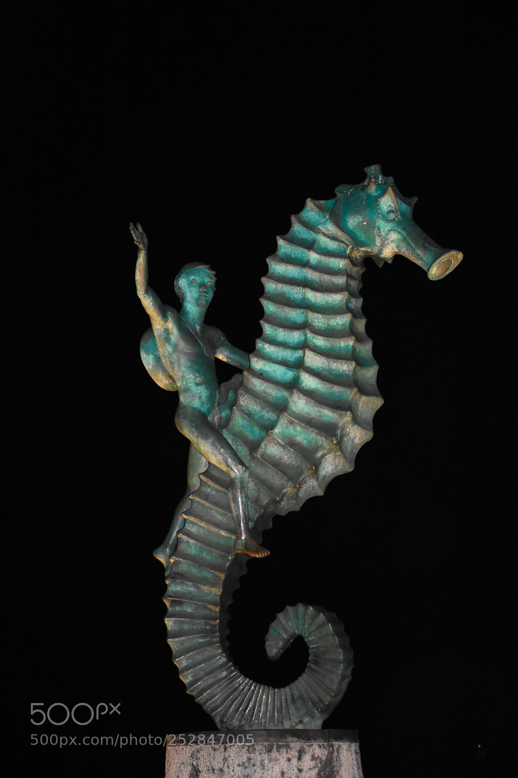 Nikon D7200 sample photo. Riding the seahorse photography