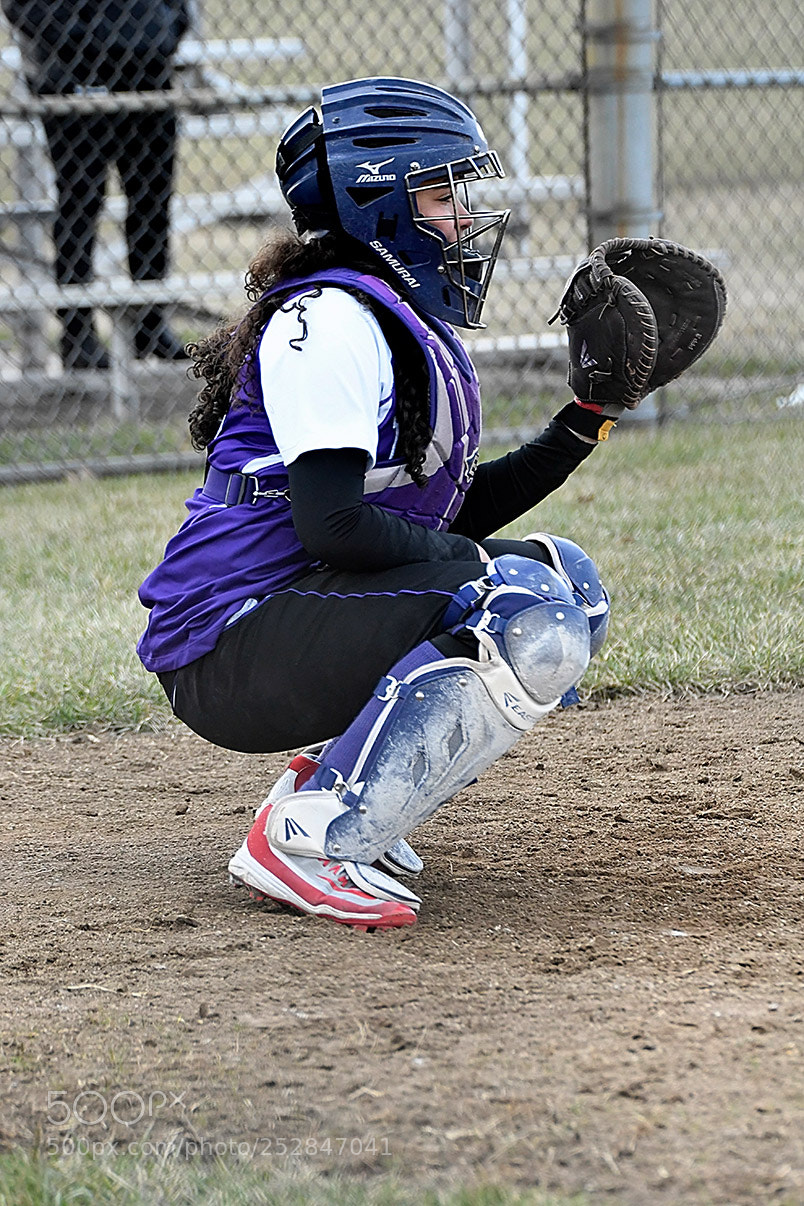 Nikon D500 sample photo. 4-4_0700.jpg photography
