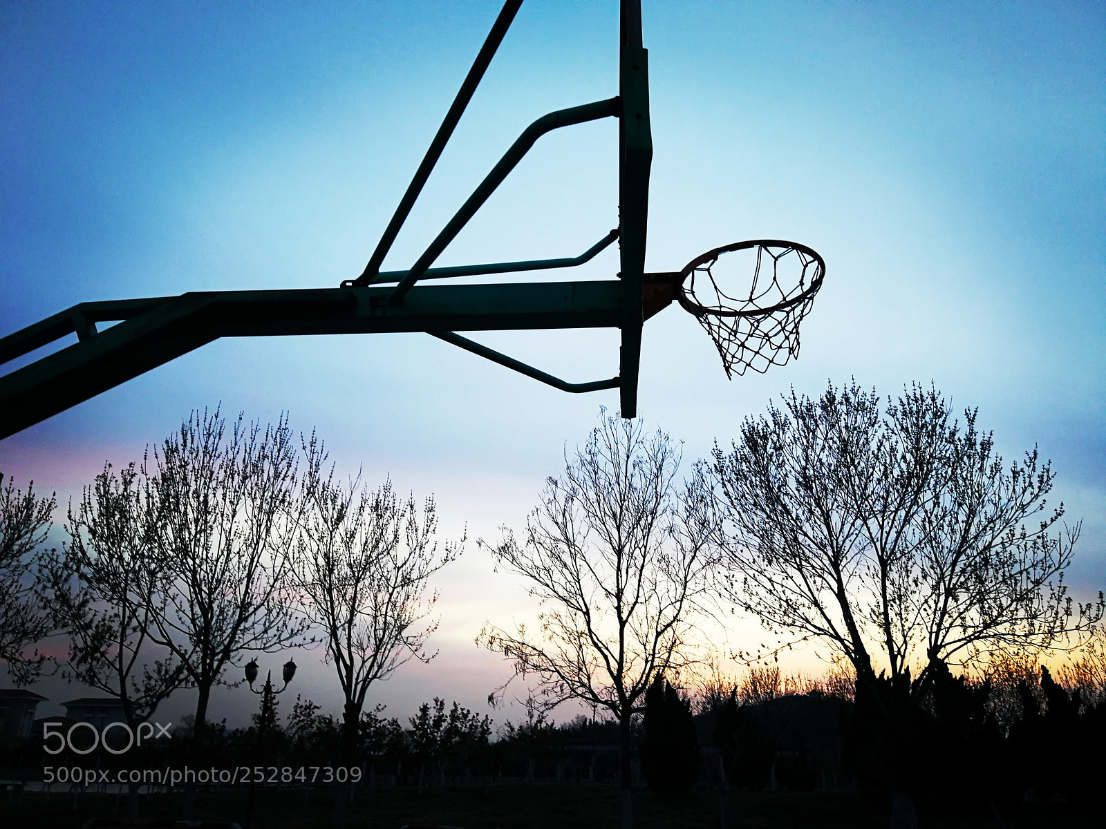 HUAWEI Mate 9 sample photo. Untitled photography