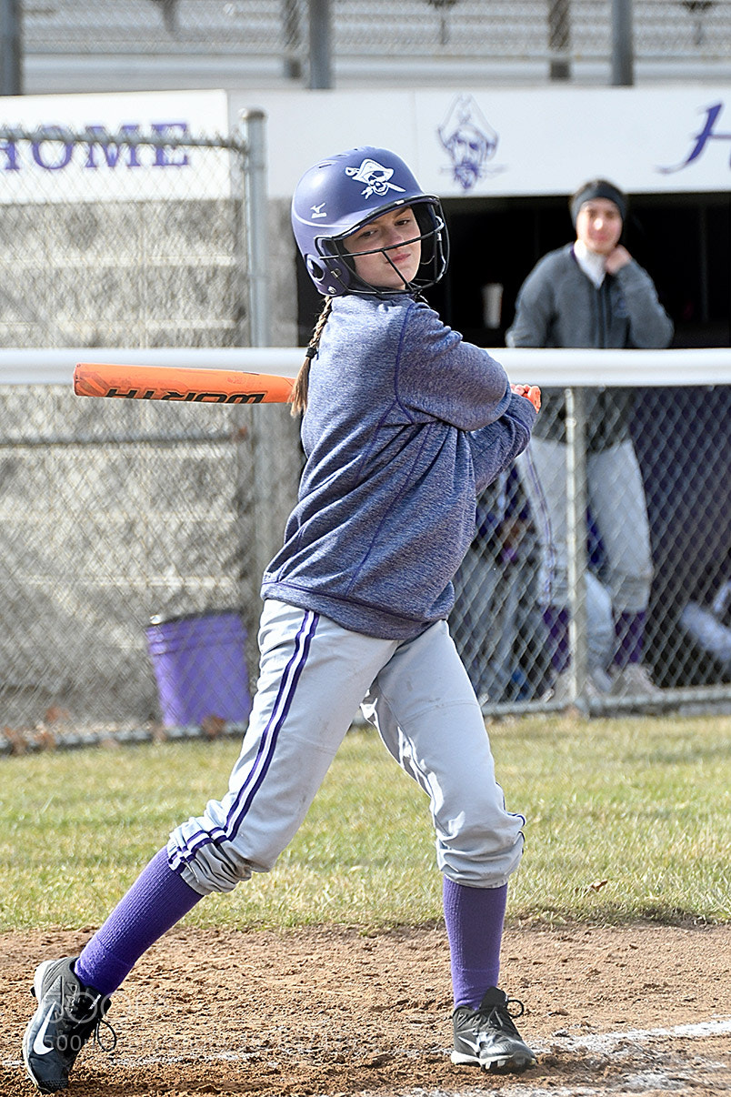 Nikon D500 sample photo. 4-4_0289.jpg photography
