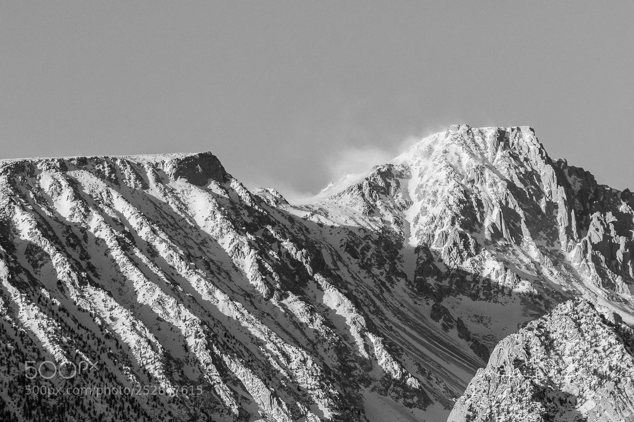 Canon EOS 7D Mark II sample photo. Earths beauty photography