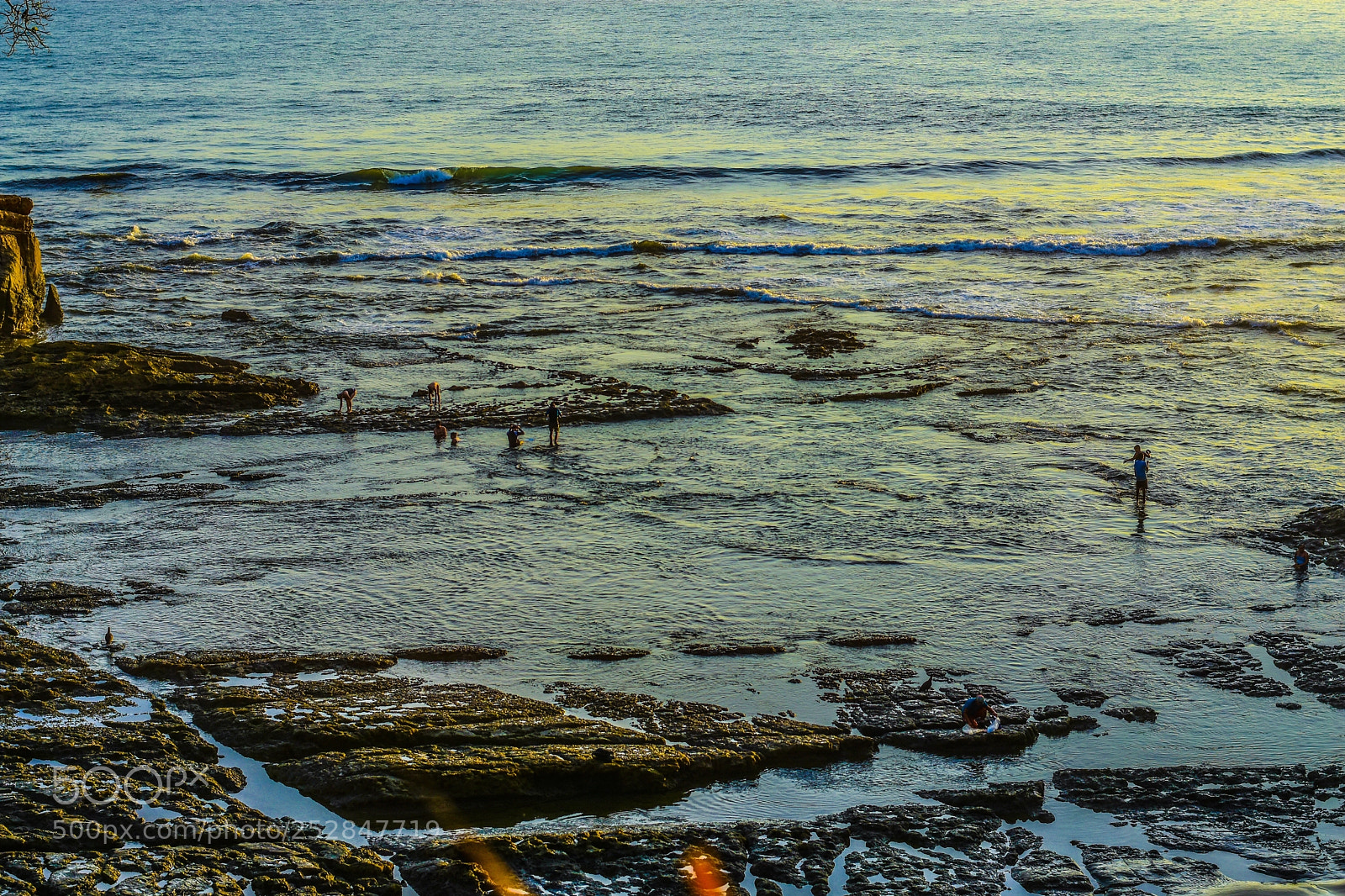 Nikon D7200 sample photo. Fishing  photography