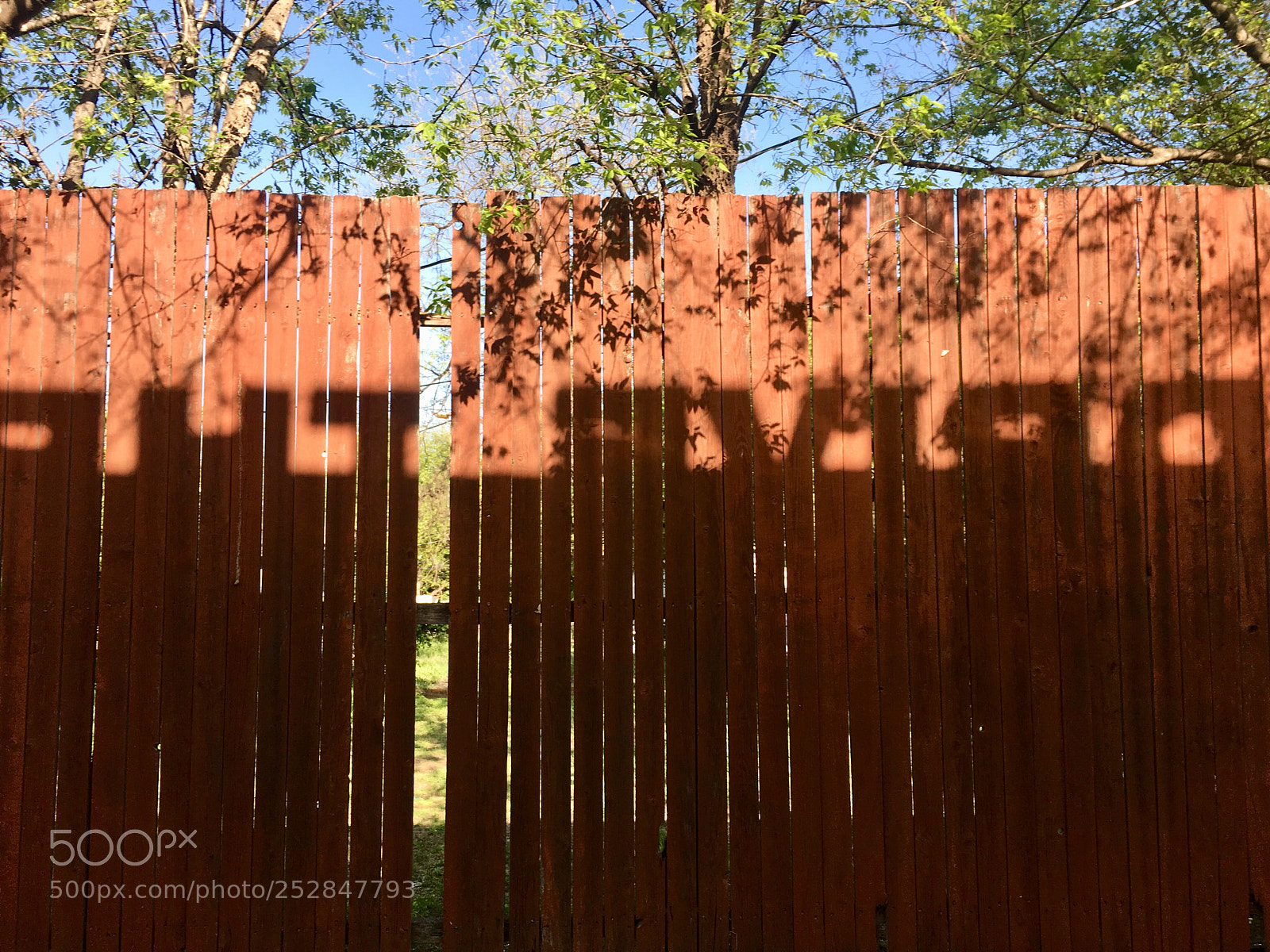 Apple iPhone 6s sample photo. Untitled photography
