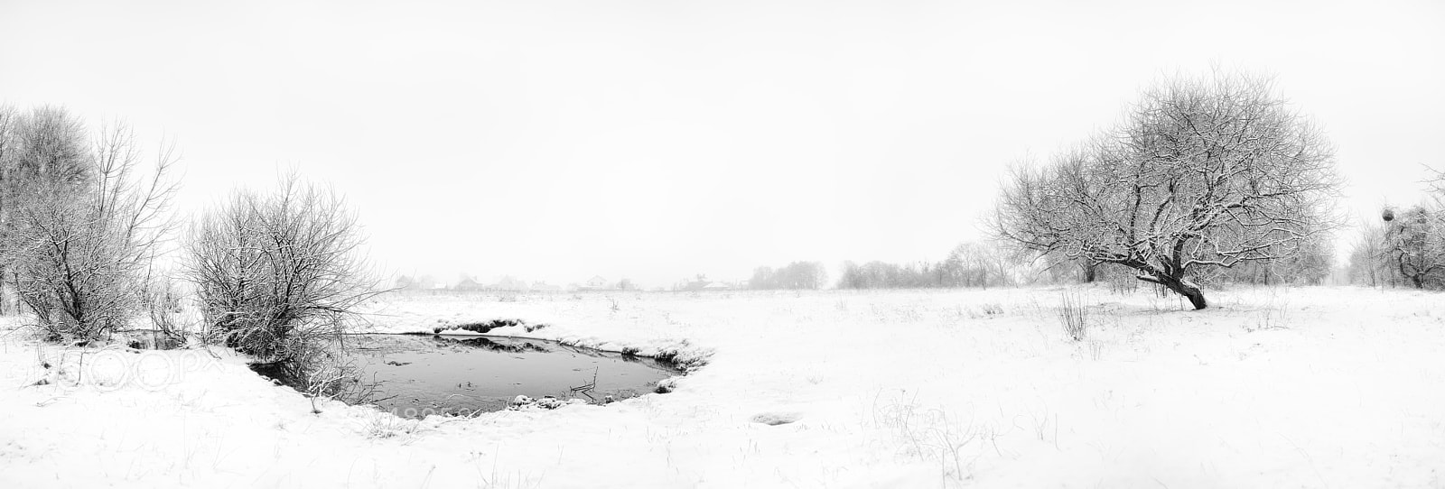 Nikon D800E sample photo. Snow photography
