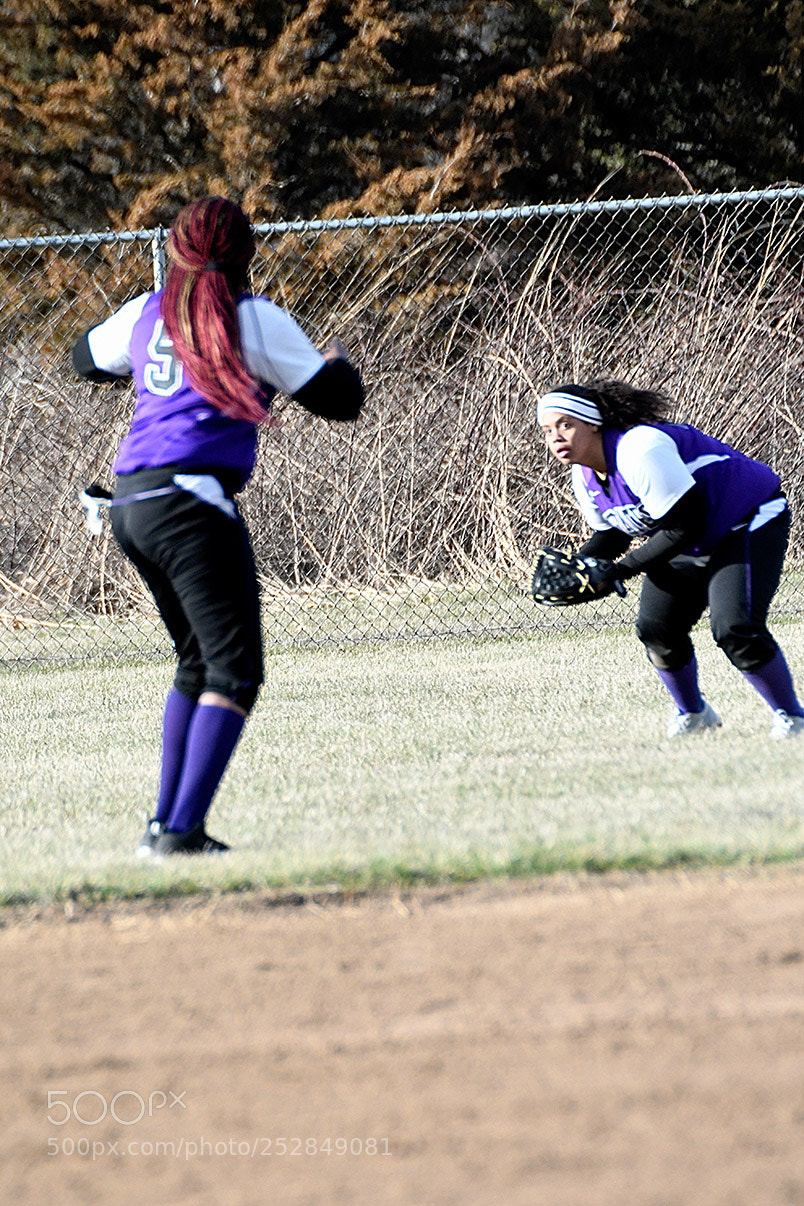 Nikon D500 sample photo. 4-4_0729.jpg photography