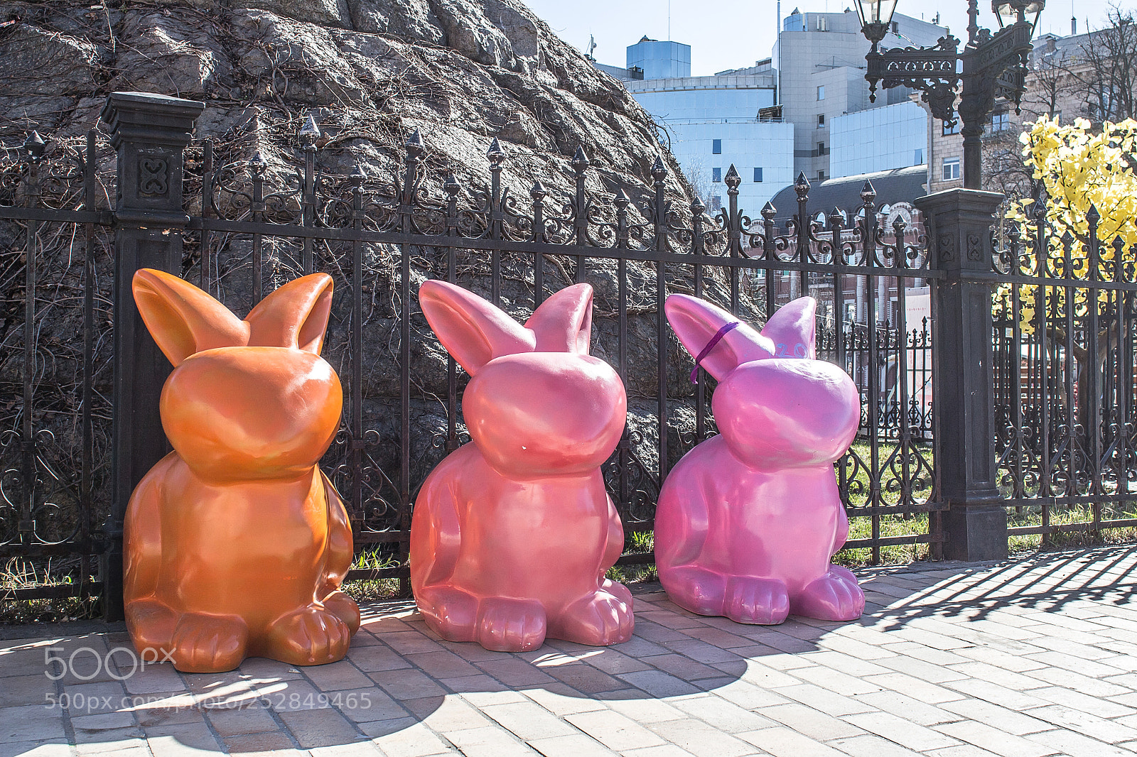 Canon EOS 700D (EOS Rebel T5i / EOS Kiss X7i) sample photo. Pink hares photography