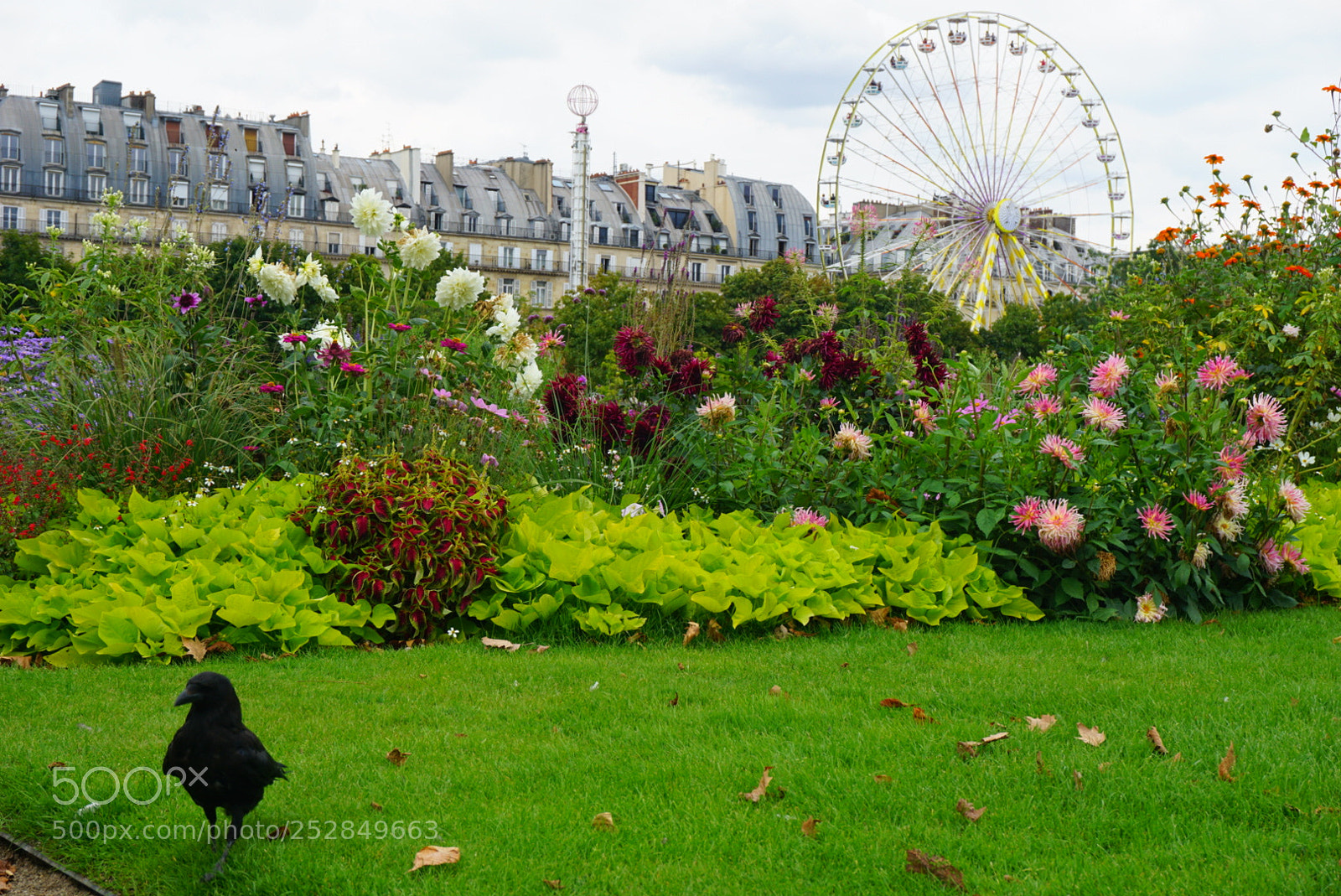 Sony a6000 sample photo. Dsc photography