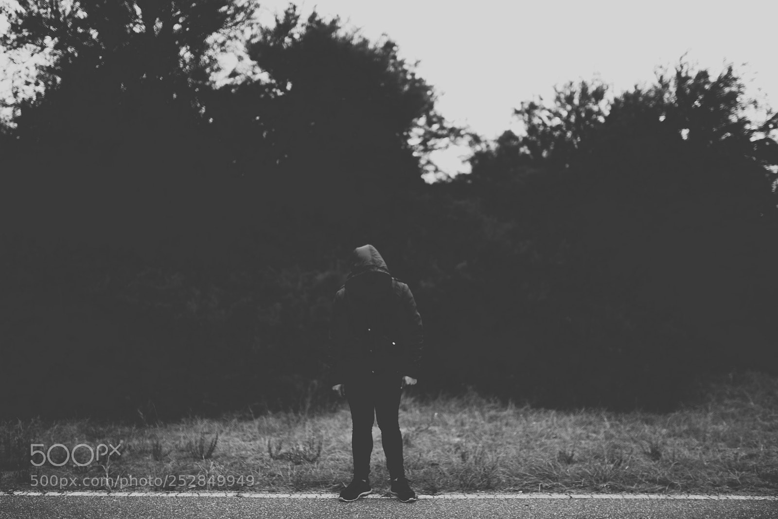 Nikon D850 sample photo. Untitled photography