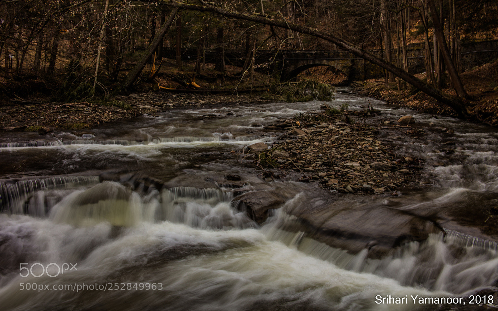Canon EOS 5DS R sample photo. Water under the bridge photography