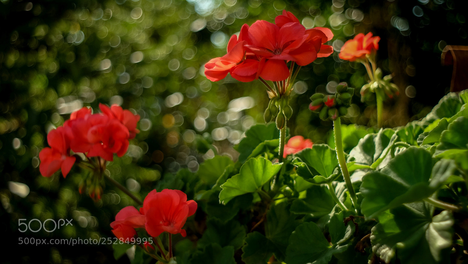 Fujifilm X-A1 sample photo. Untitled photography