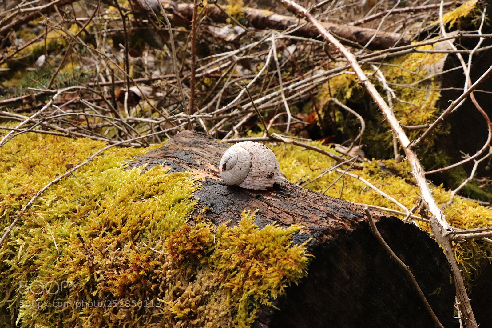 Canon EOS 77D (EOS 9000D / EOS 770D) sample photo. Untitled photography