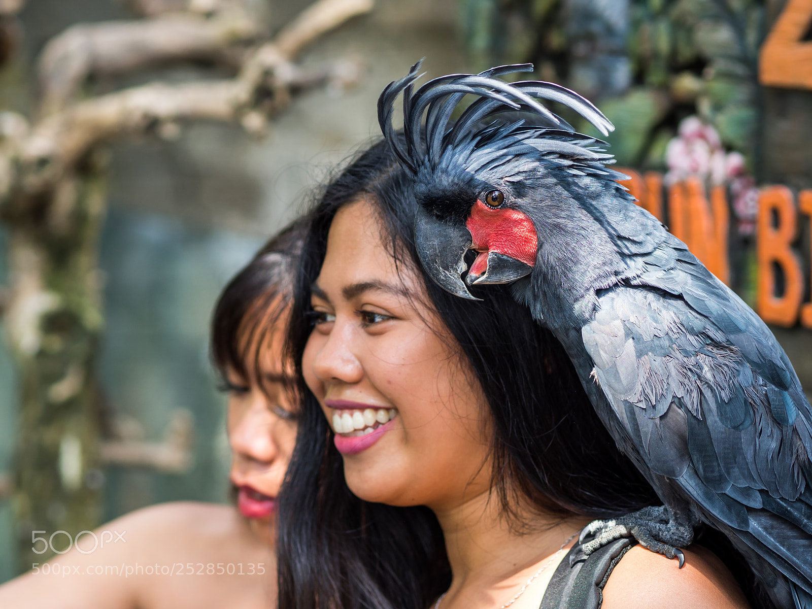 Olympus OM-D E-M10 II sample photo. Bali, indonesia - march photography