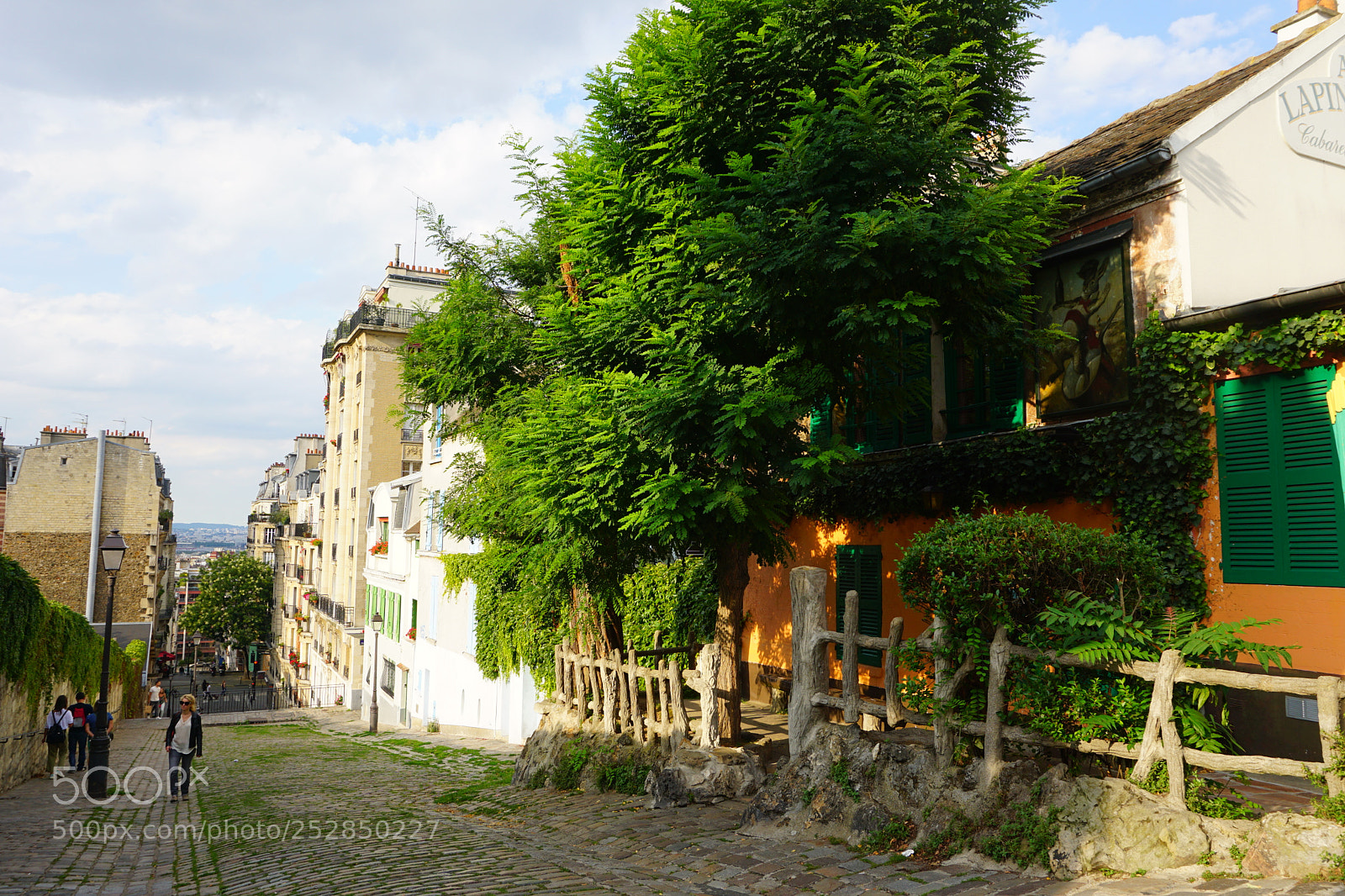 Sony a6000 sample photo. Dsc photography