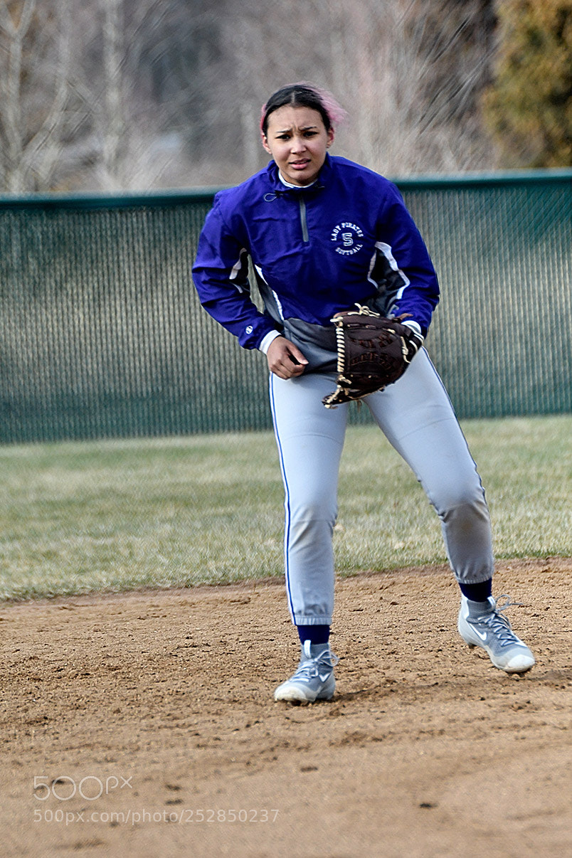 Nikon D500 sample photo. 4-4_0325.jpg photography