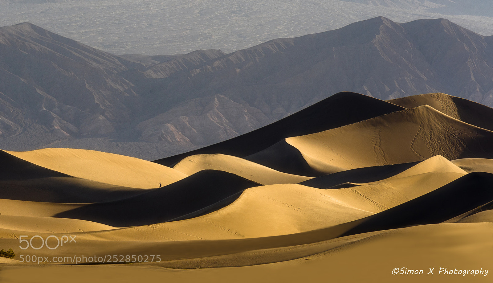 Canon EOS 5D Mark IV sample photo. Lonely desert traveler 大漠孤行者 photography