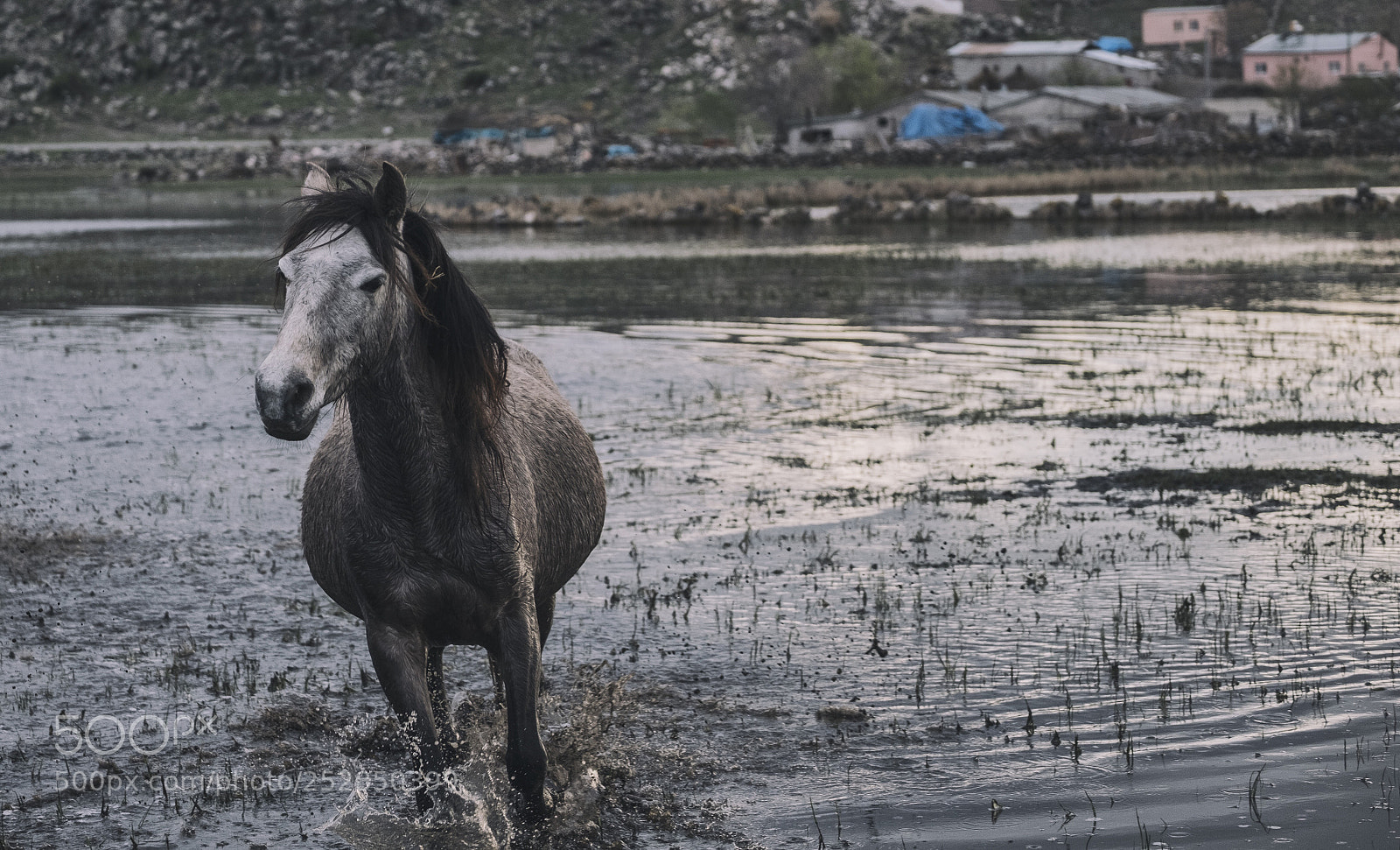 Fujifilm X-T2 sample photo. Untitled photography