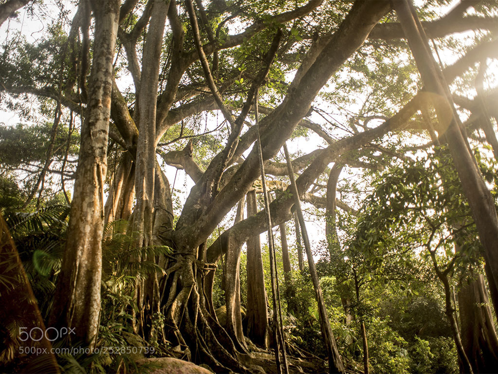 Nikon D800 sample photo. Traveling in da nang photography