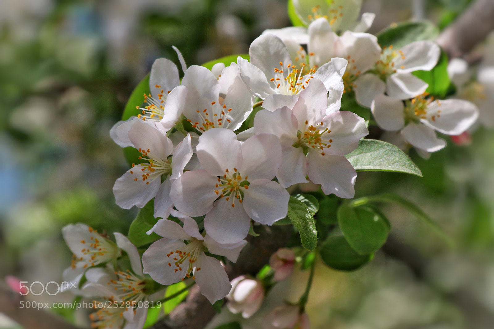 Canon EOS 80D sample photo. Untitled photography