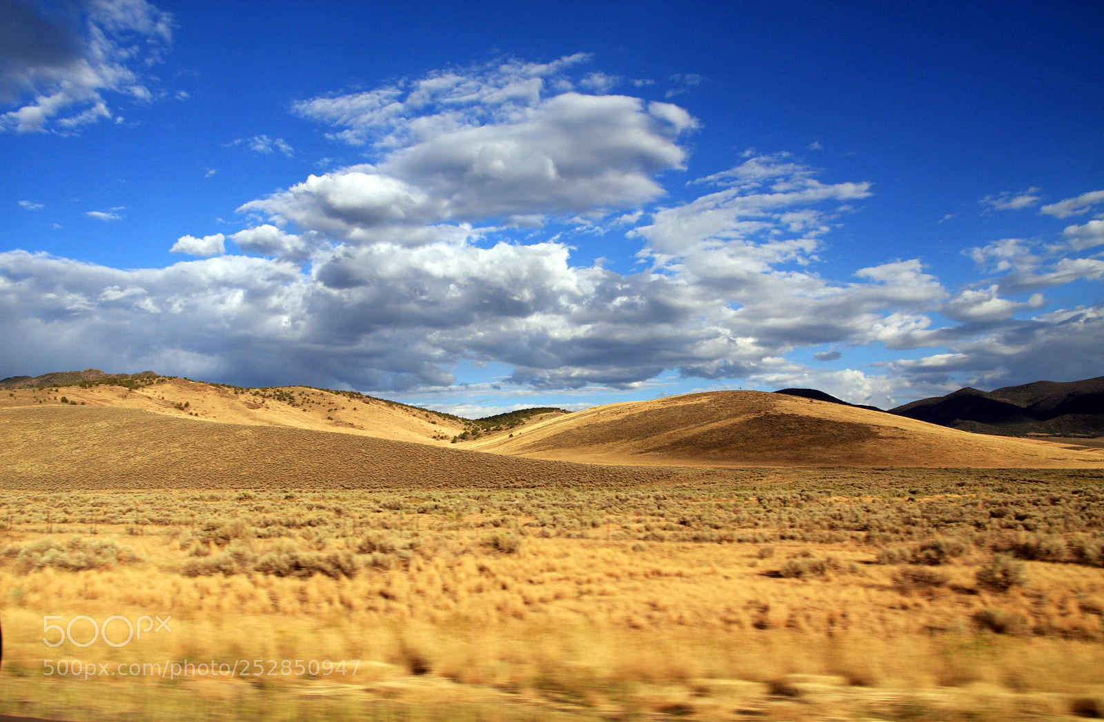 Canon EOS 40D sample photo. Grassland photography